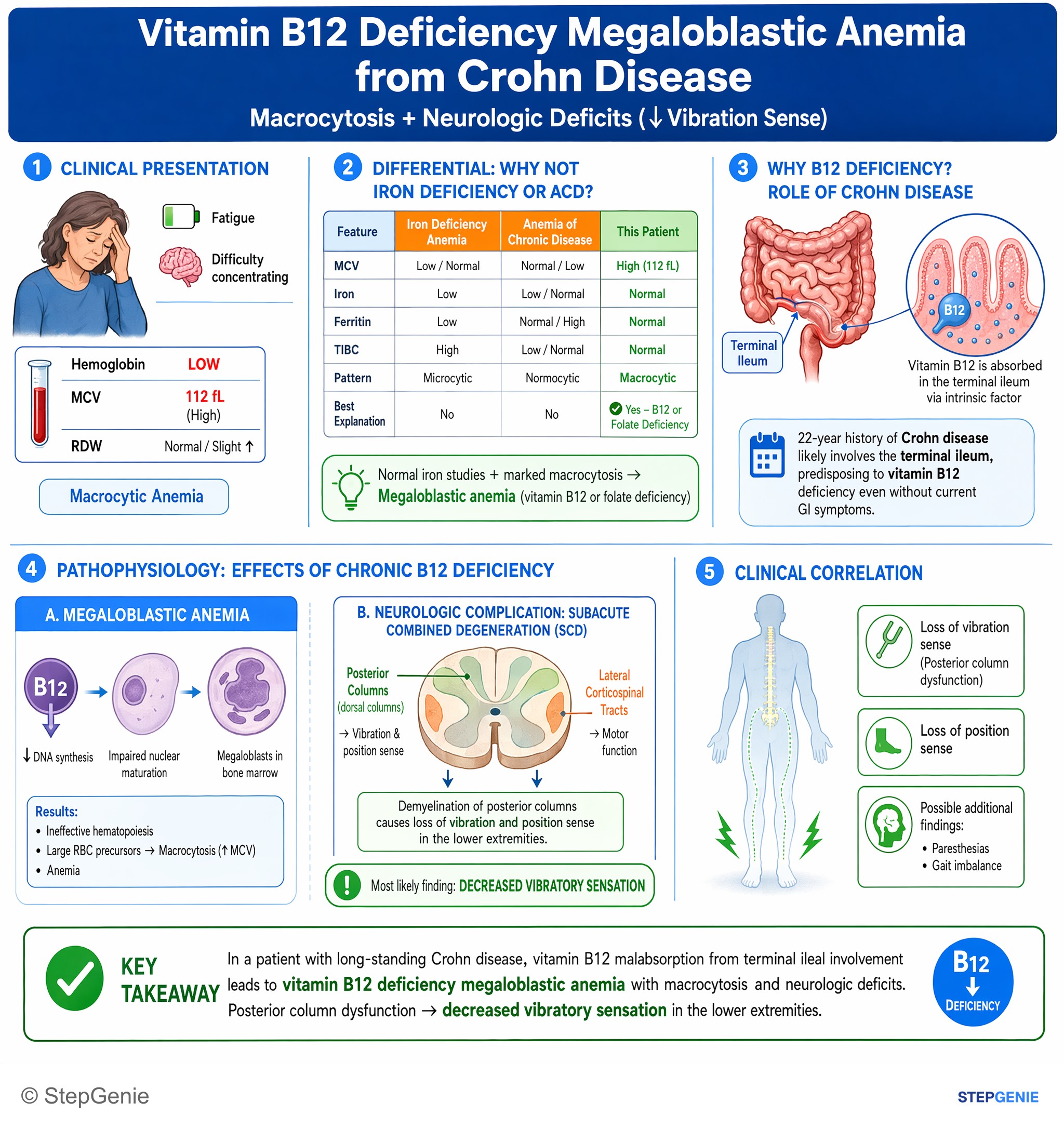 Disorders of nutrition — StepGenie USMLE Step 1 explanation infographic