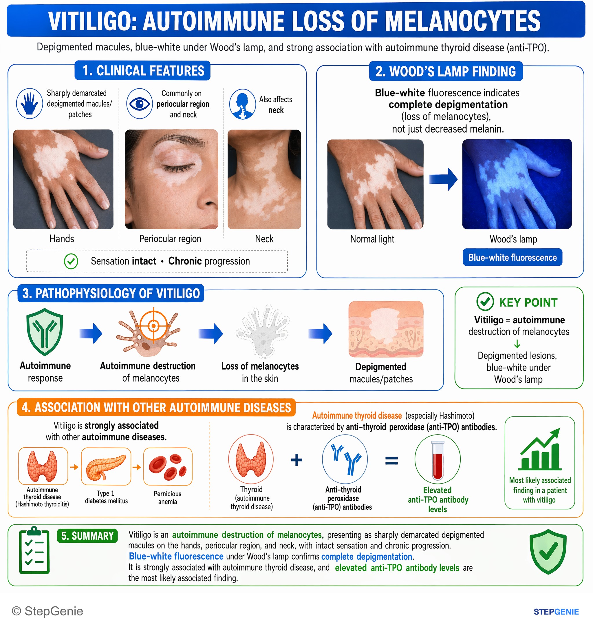 Immunologic phenomena — StepGenie USMLE Step 1 explanation infographic