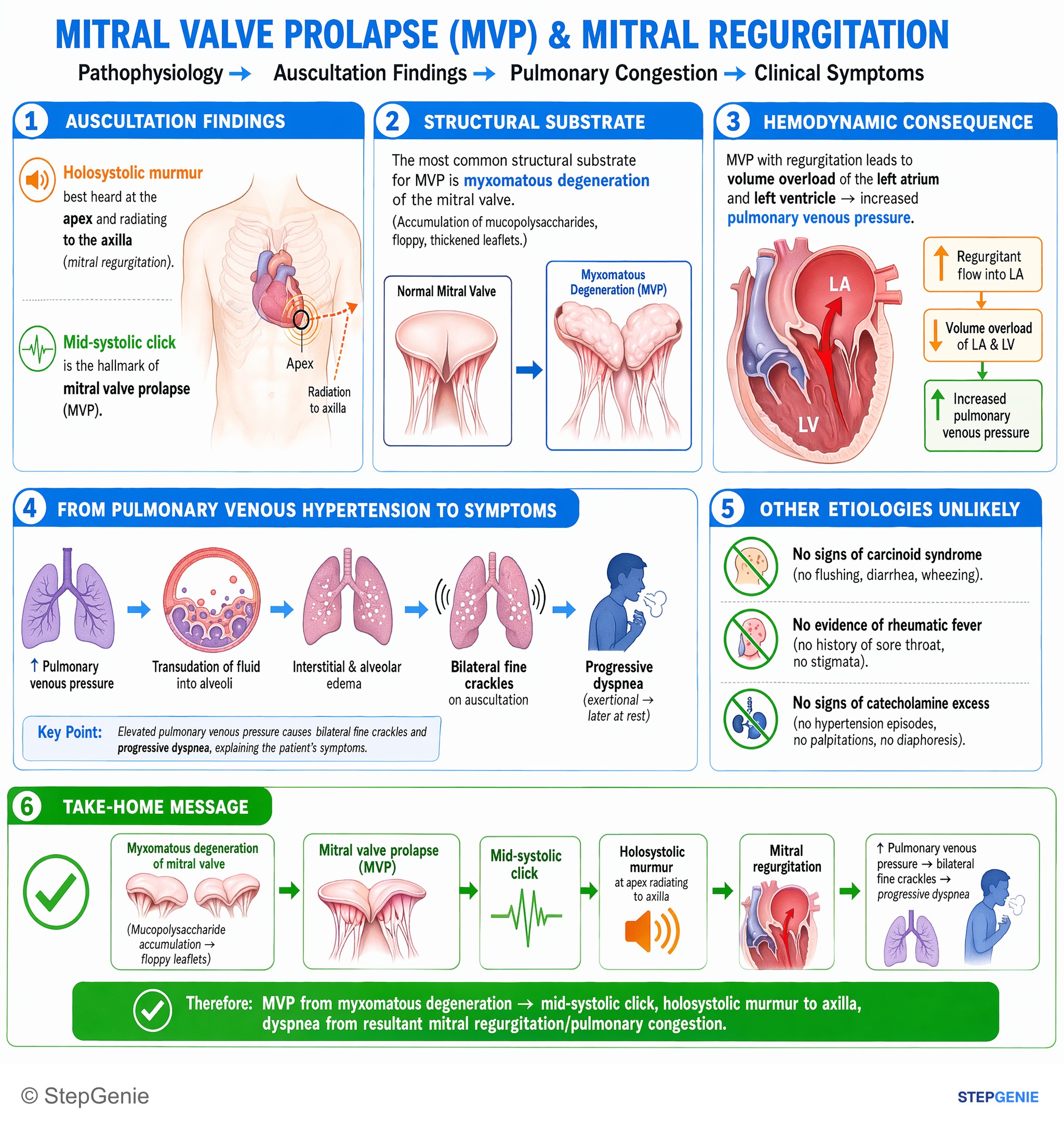 Valvular heart diseases — StepGenie USMLE Step 1 explanation infographic