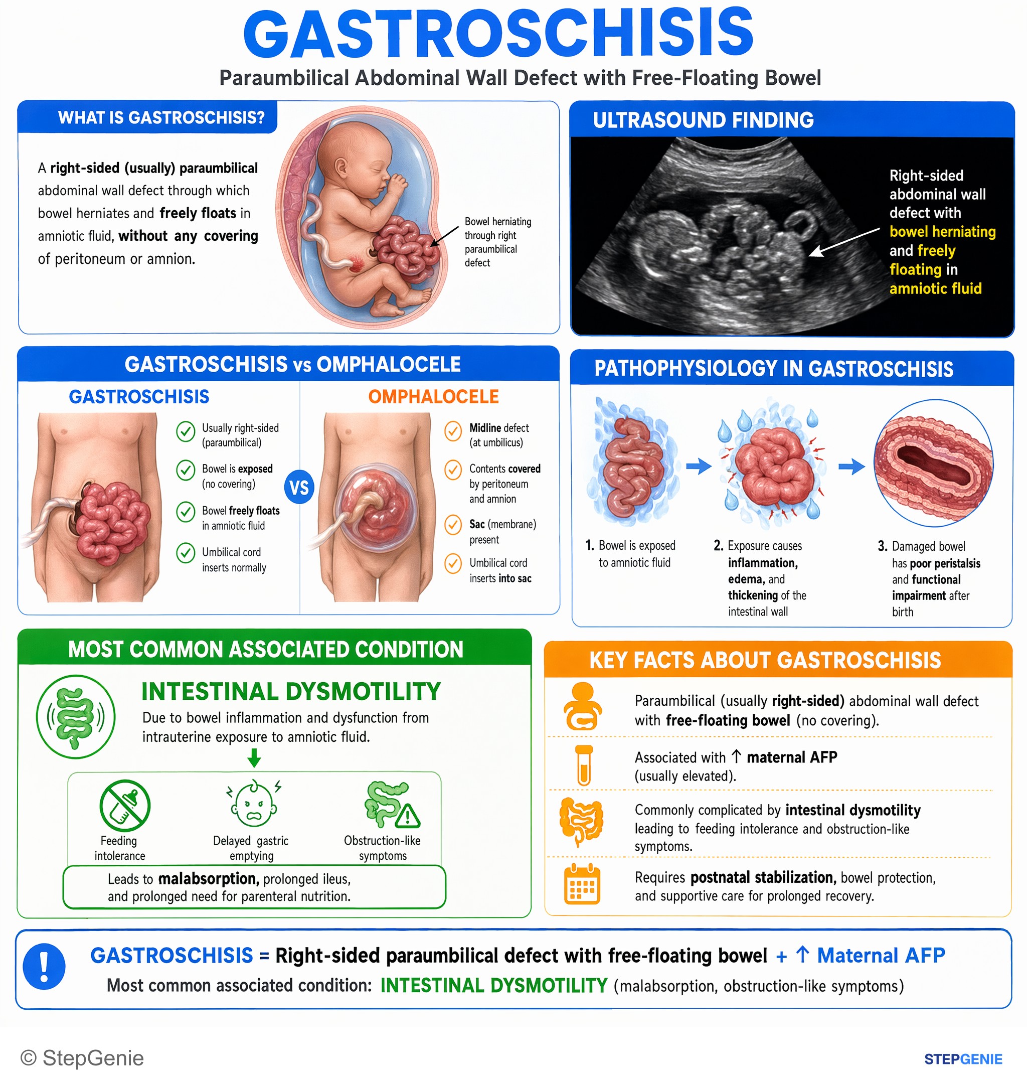 Congenital and developmental anomalies — StepGenie USMLE Step 1 explanation infographic