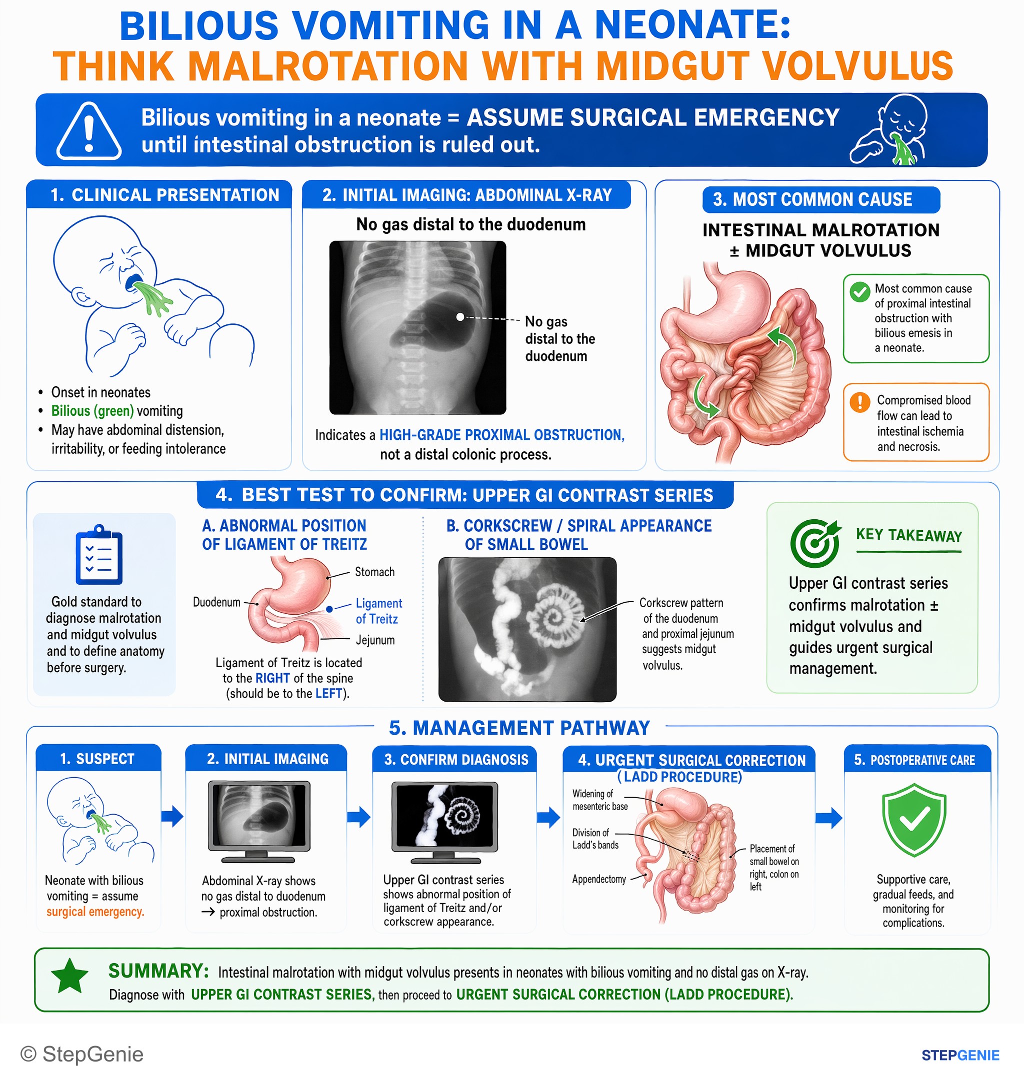 Congenital and developmental anomalies — StepGenie USMLE Step 2 explanation infographic