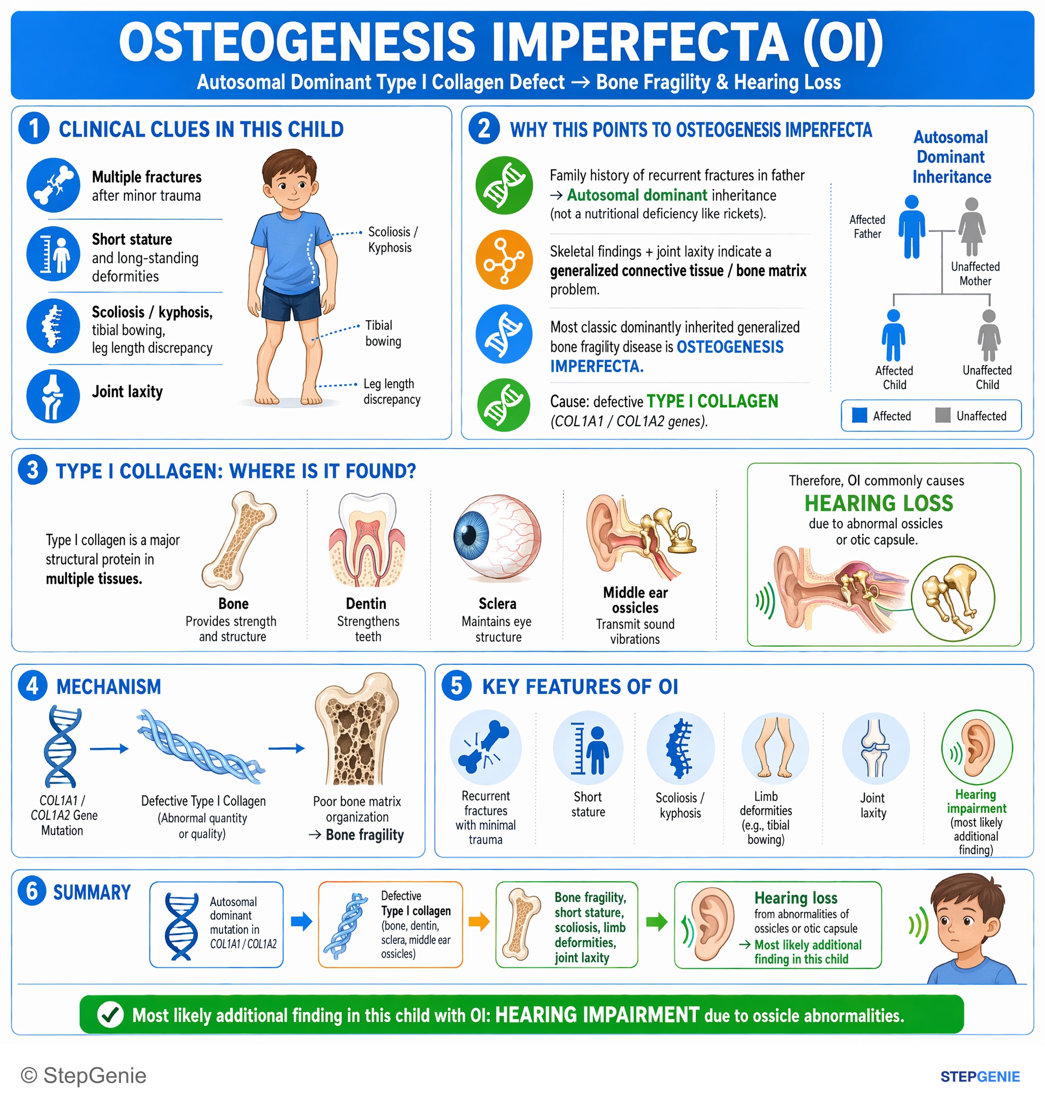Metabolic bone disorders — StepGenie USMLE Step 1 explanation infographic