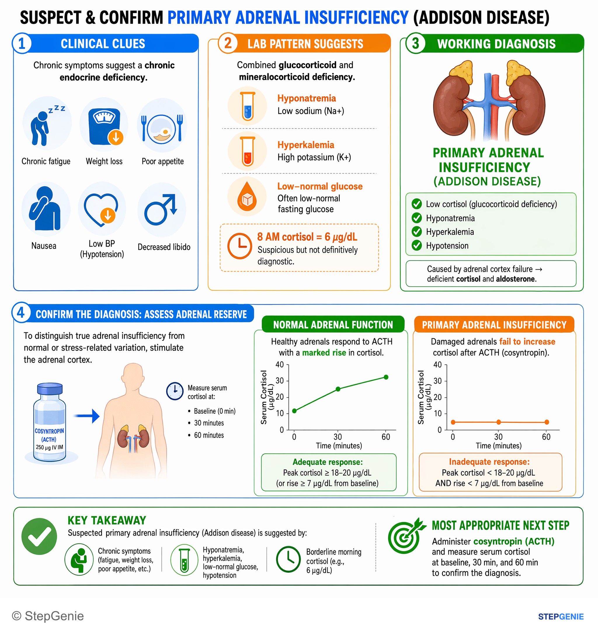 Adrenal disorders — StepGenie USMLE Step 2 explanation infographic
