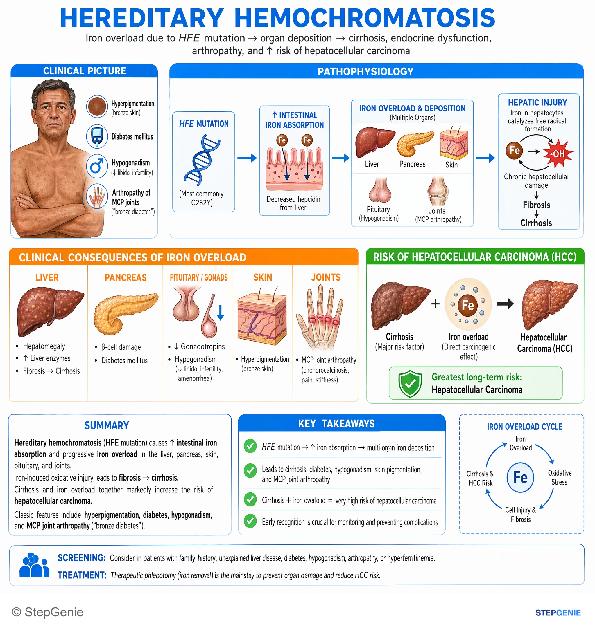 Hepatic disorders — StepGenie USMLE Step 1 explanation infographic