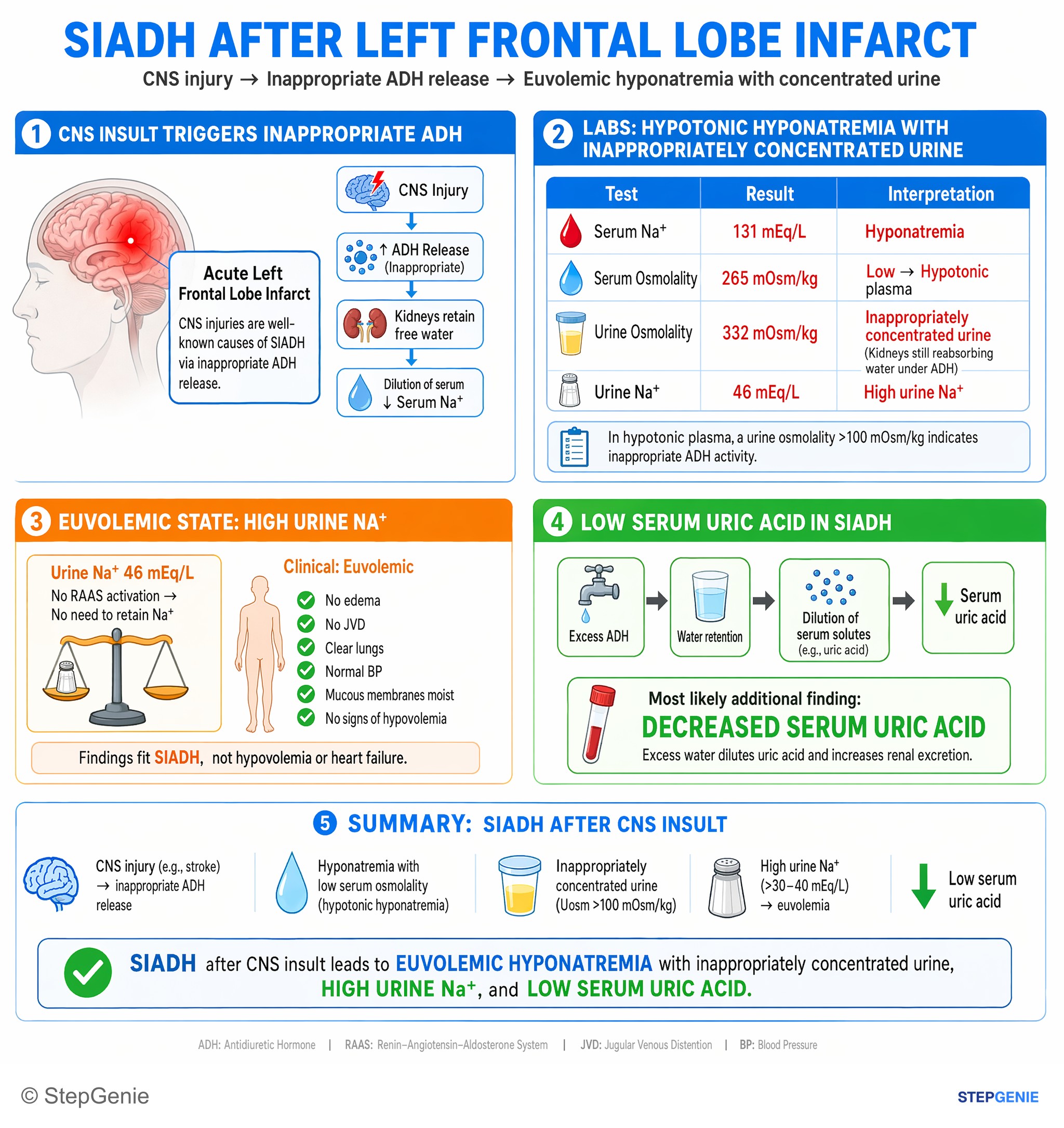 Fluid, electrolytes, and acid-base — StepGenie USMLE Step 2 explanation infographic