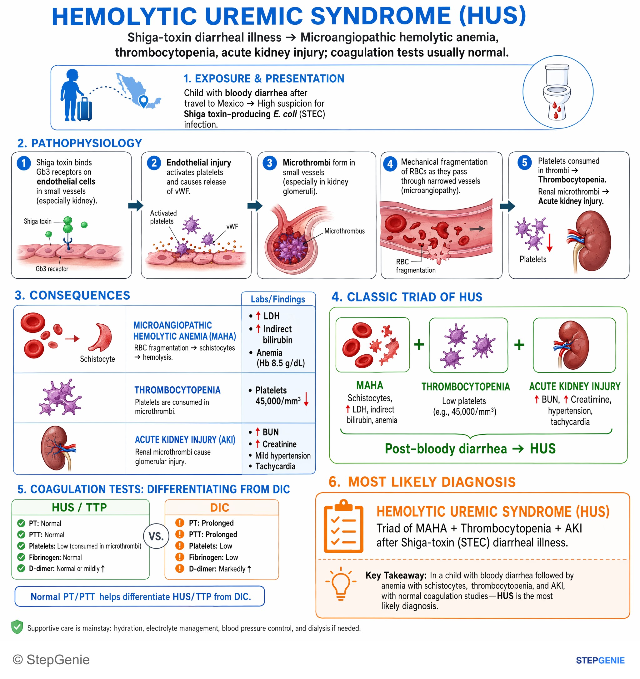 Red blood cell disorders — StepGenie USMLE Step 2 explanation infographic