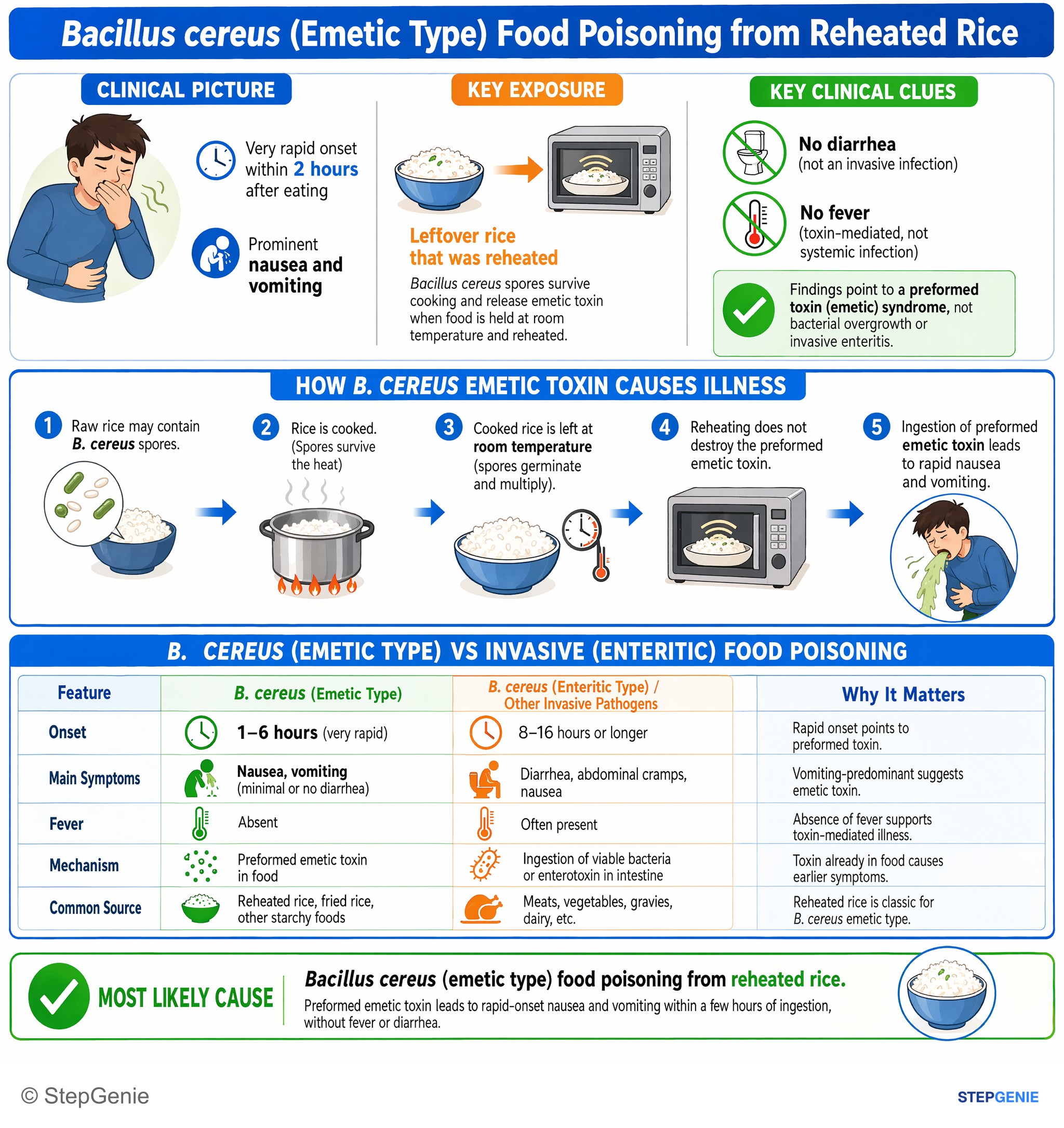 Miscellaneous — StepGenie USMLE Step 1 explanation infographic
