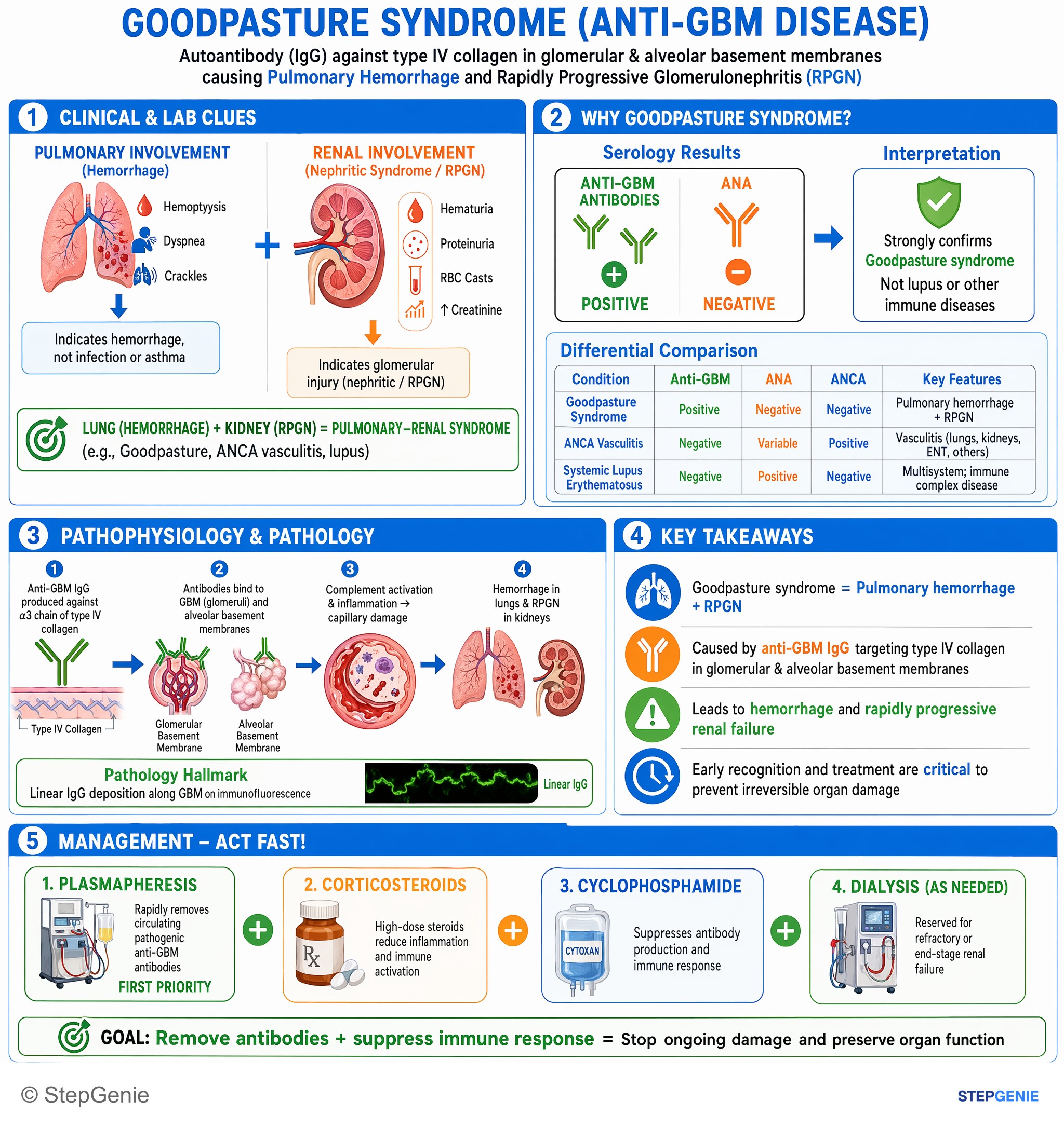 Pulmonary infections — StepGenie USMLE Step 2 explanation infographic