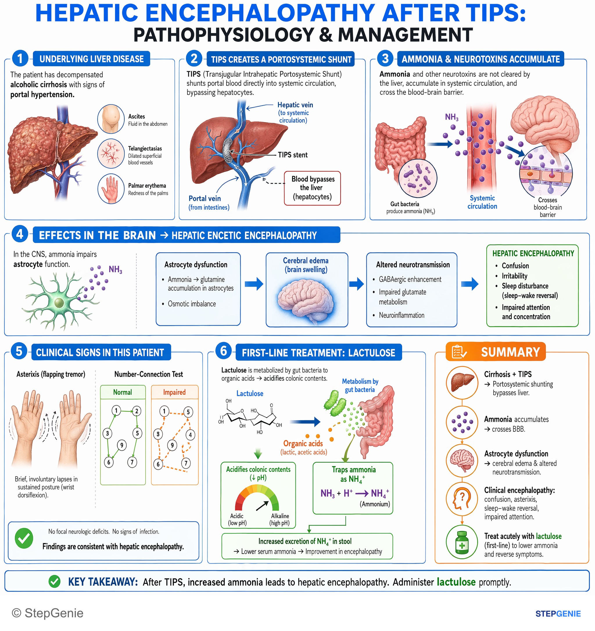 Hepatic disorders — StepGenie USMLE Step 2 explanation infographic
