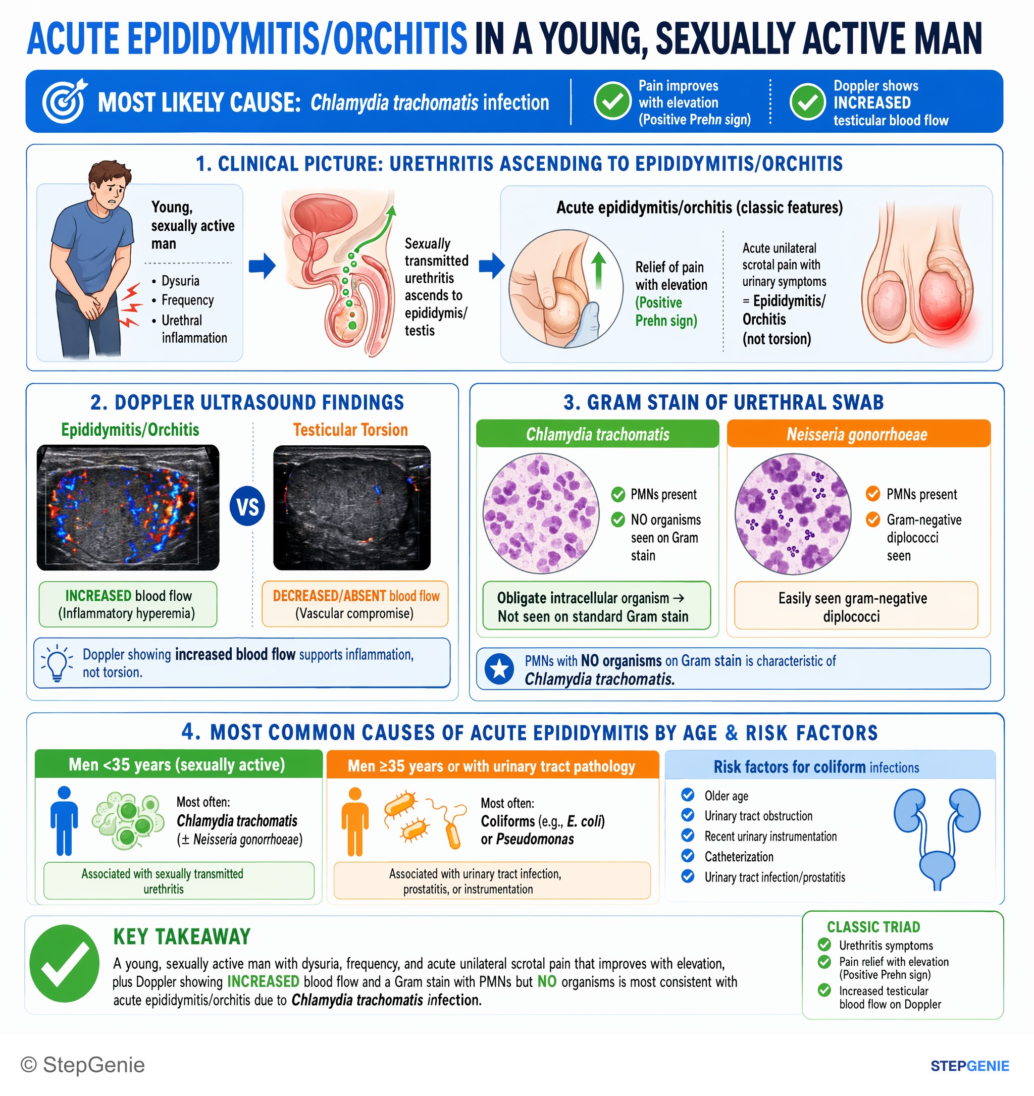 Bacterial infections — StepGenie USMLE Step 2 explanation infographic