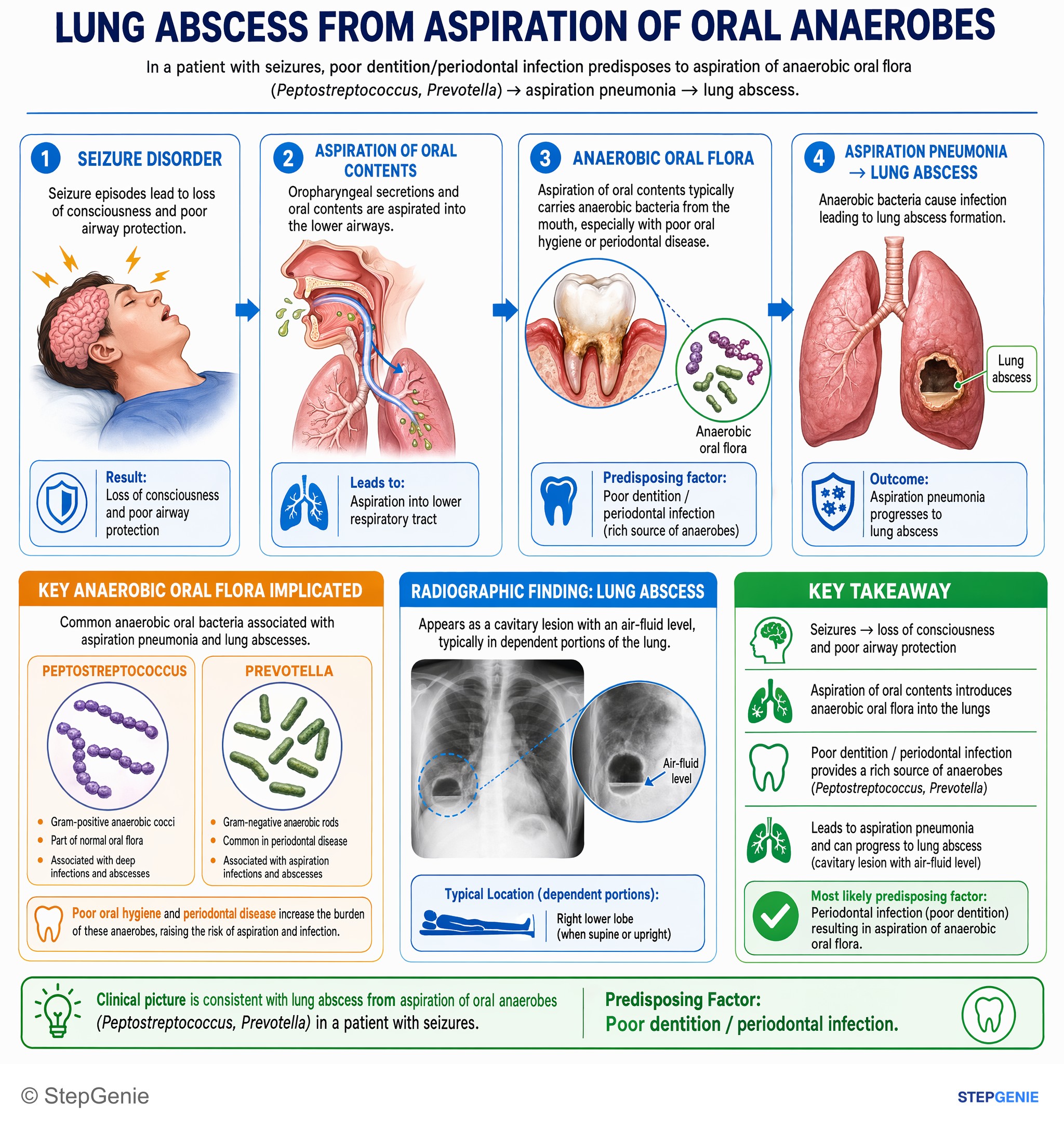 Pulmonary infections — StepGenie USMLE Step 1 explanation infographic