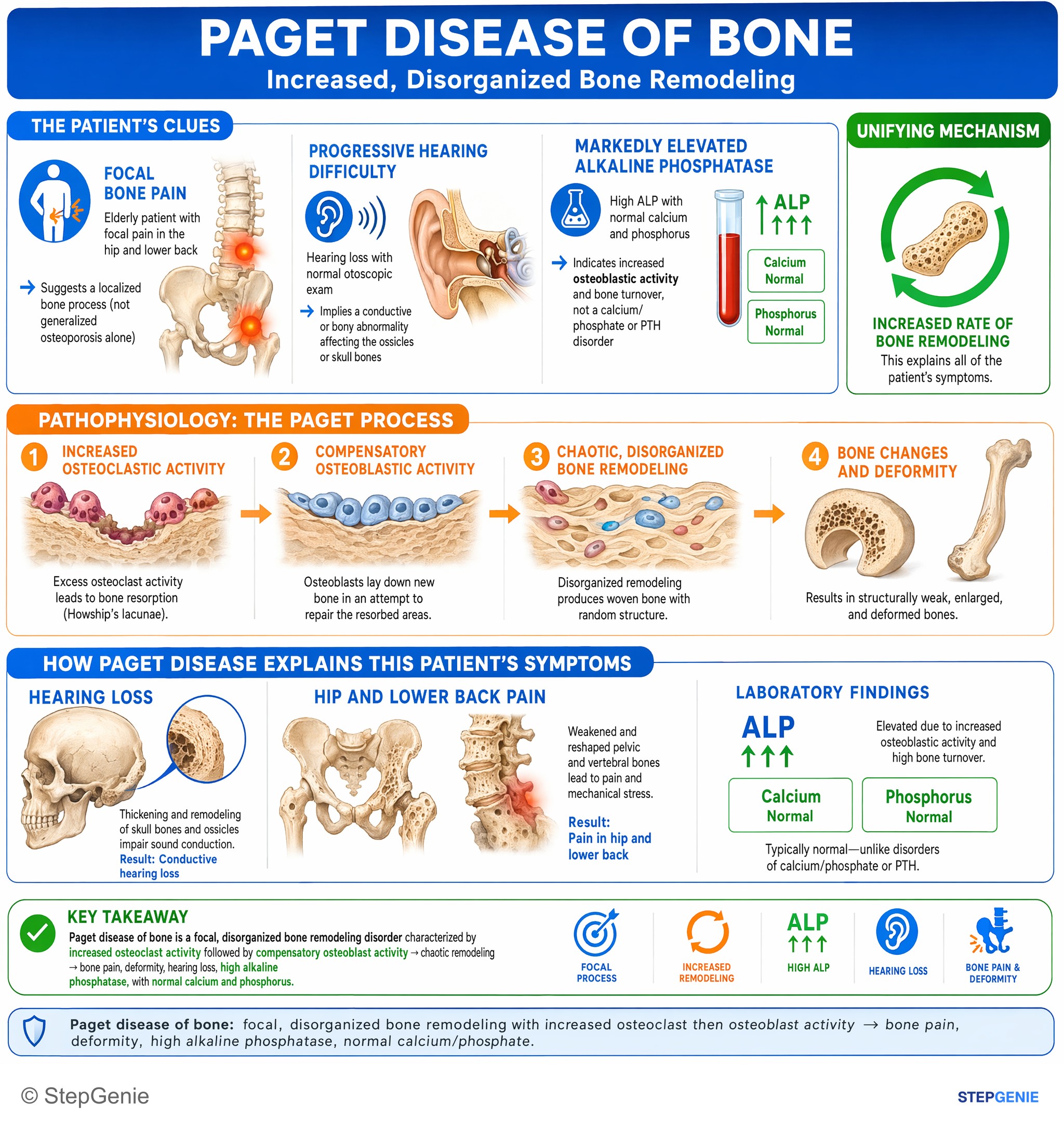 Metabolic bone disorders — StepGenie USMLE Step 1 explanation infographic