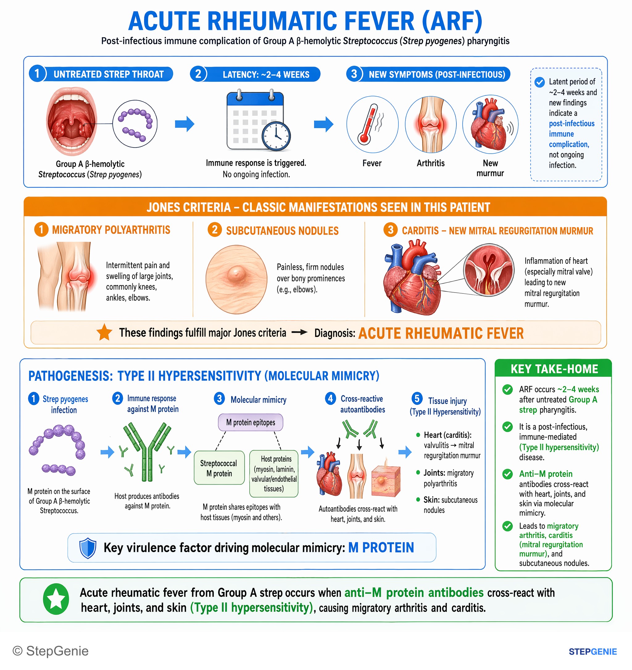 Infections / infection-related conditions — StepGenie USMLE Step 1 explanation infographic