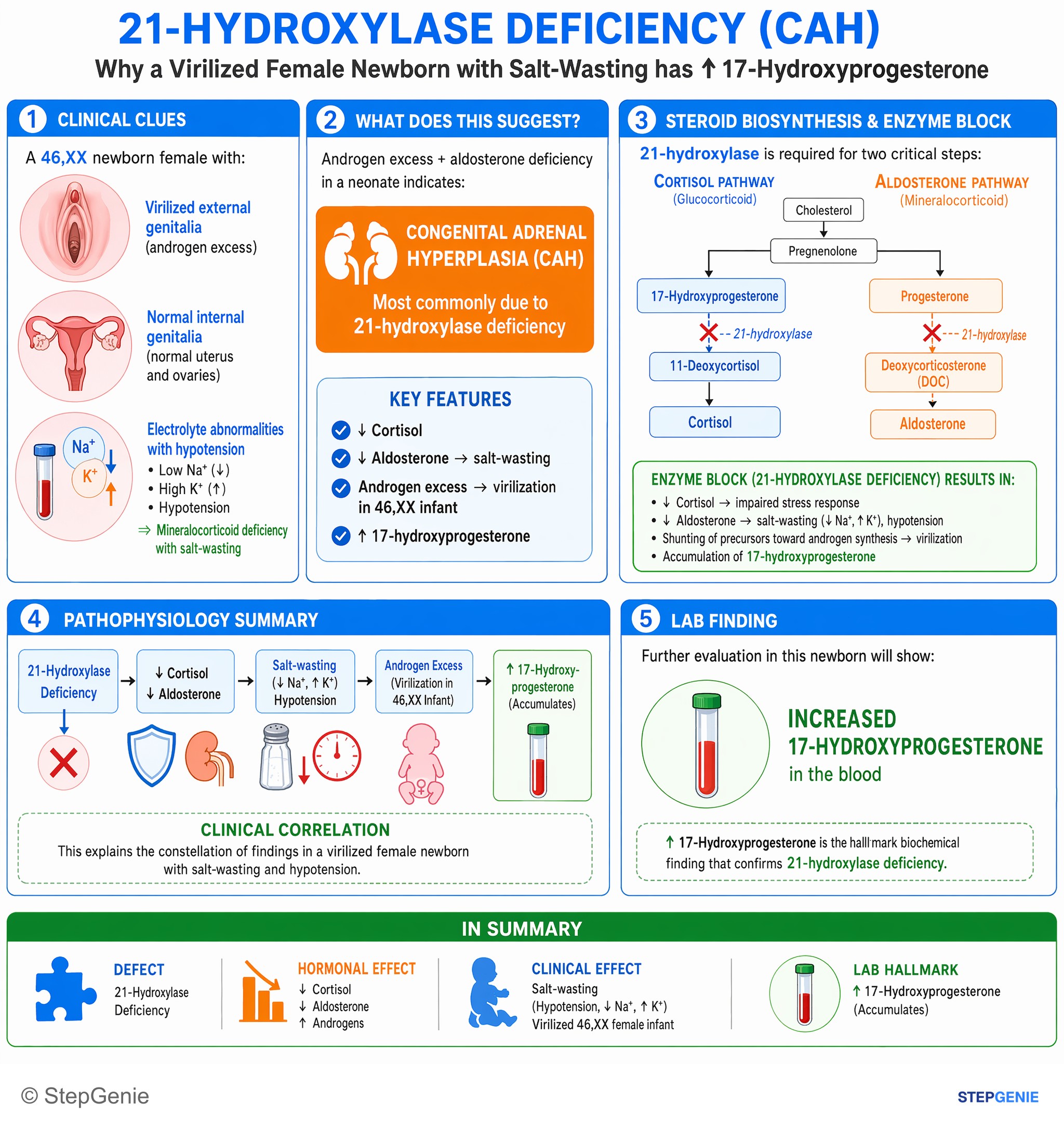 Adrenal disorders — StepGenie USMLE Step 1 explanation infographic