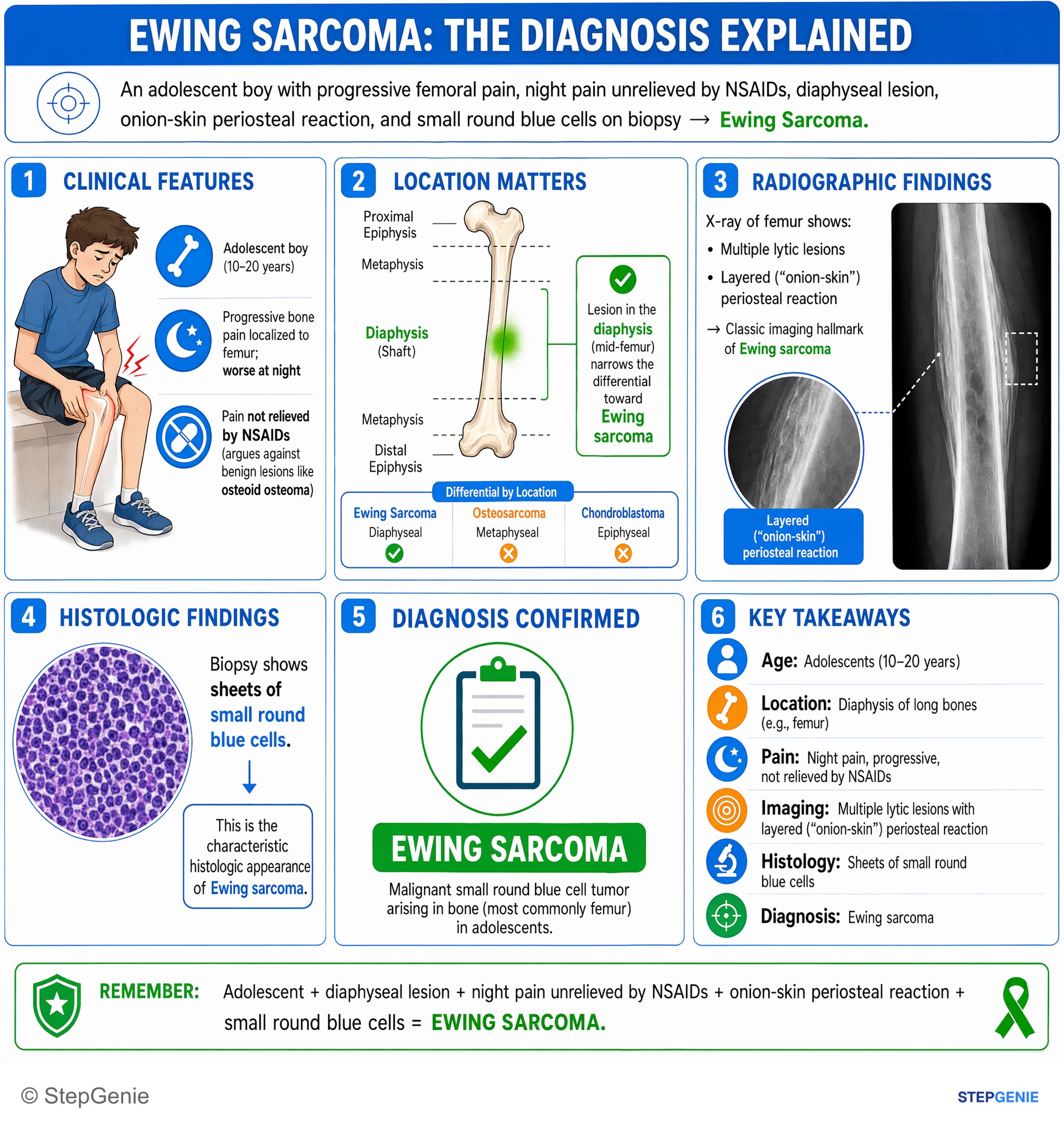 Bone tumors and tumor-like lesions — StepGenie USMLE Step 1 explanation infographic