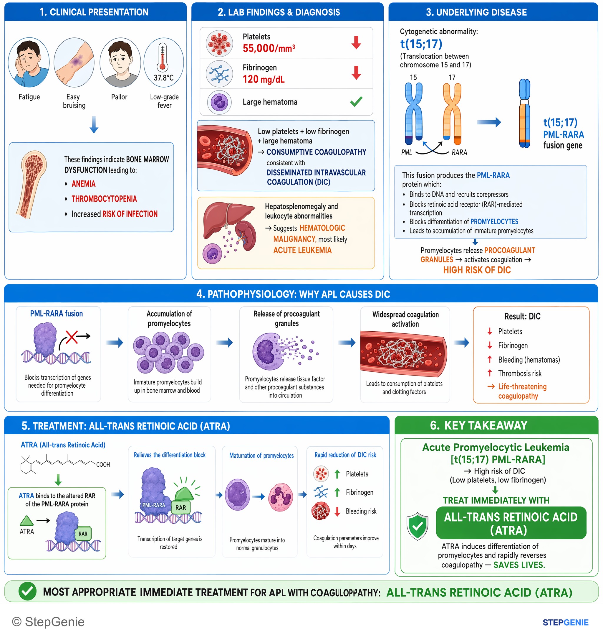 White blood cell disorders — StepGenie USMLE Step 2 explanation infographic