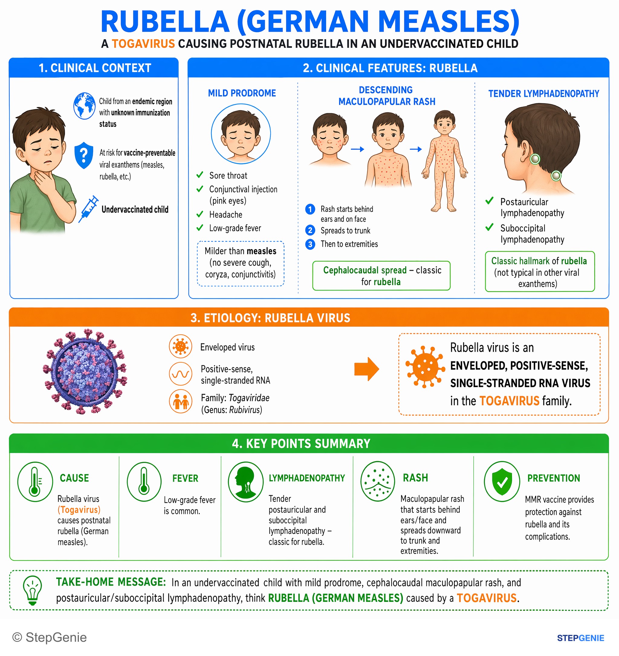 Viral infections — StepGenie USMLE Step 1 explanation infographic
