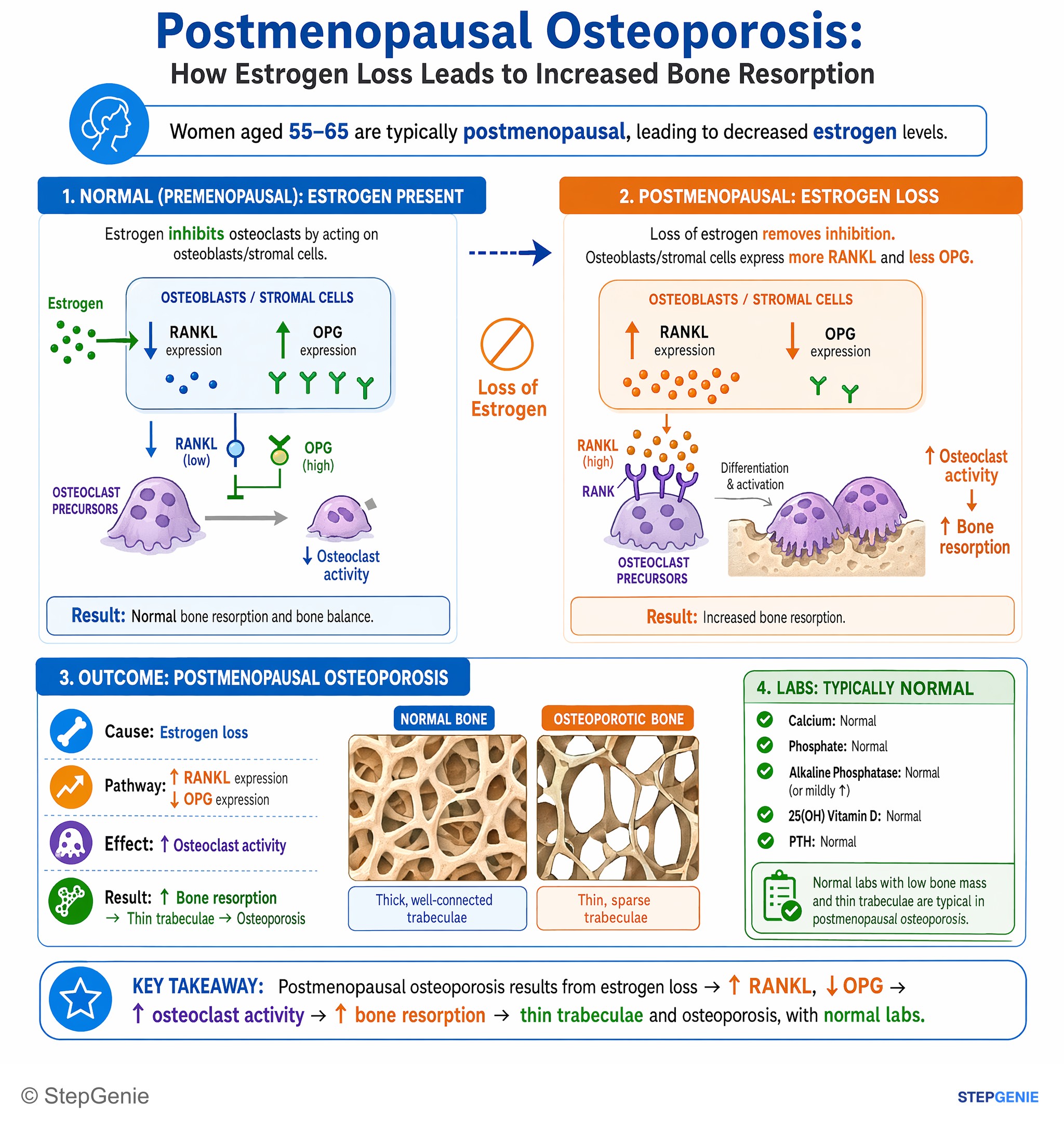 Metabolic bone disorders — StepGenie USMLE Step 1 explanation infographic