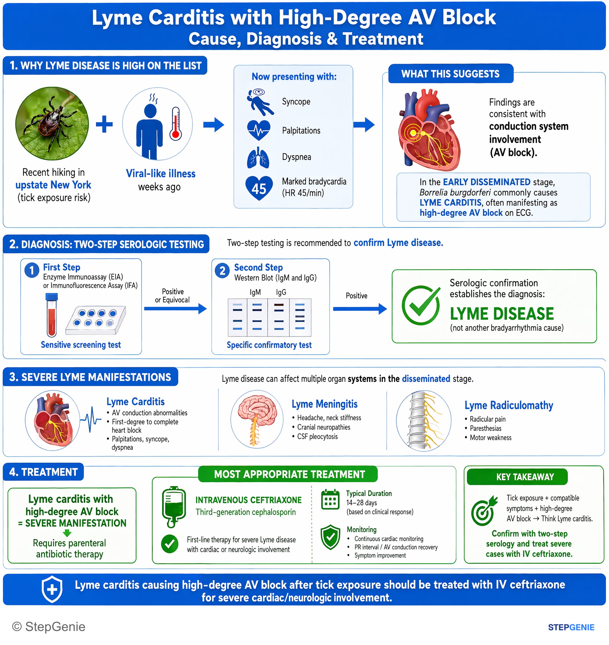 Cardiac arrhythmias and syncope — StepGenie USMLE Step 2 explanation infographic