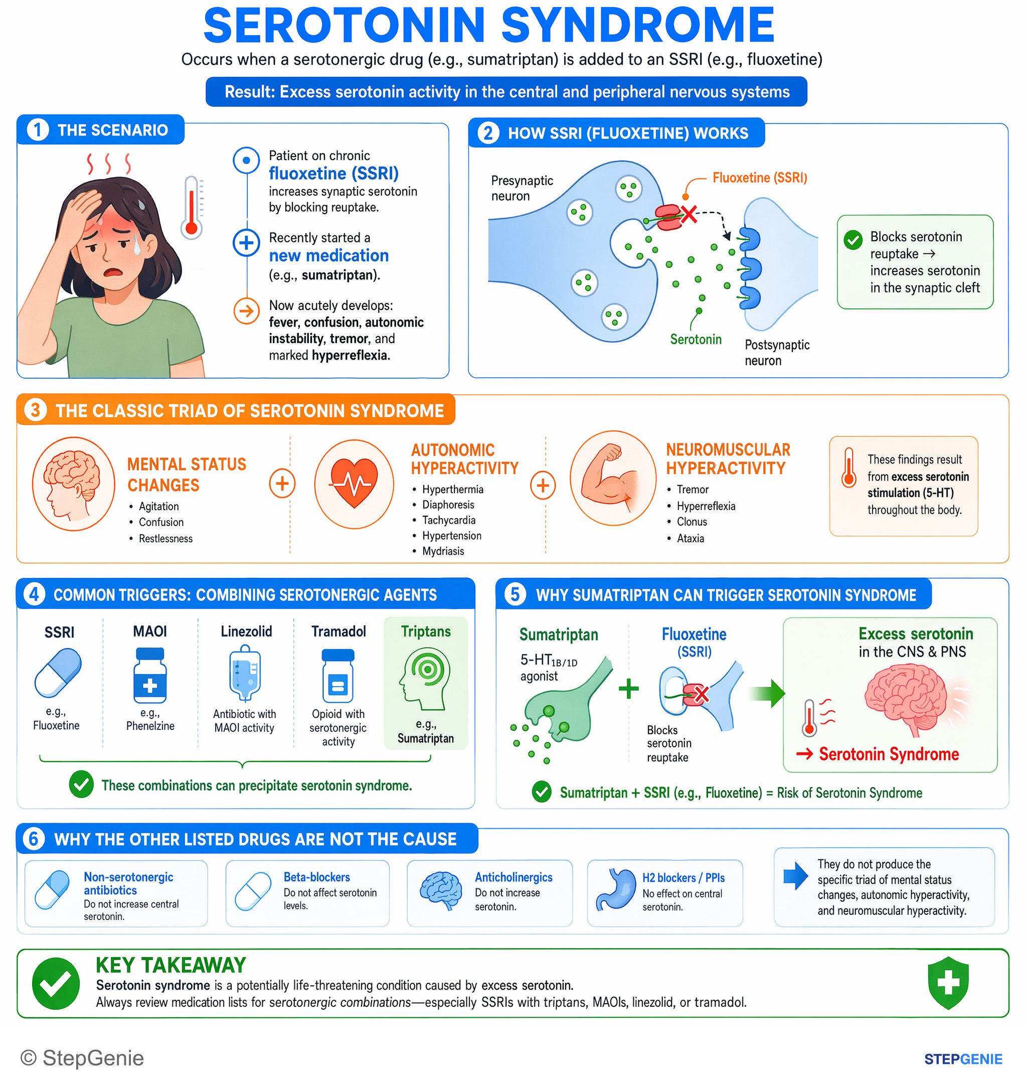 Drug effects / Toxic neuropathies — StepGenie USMLE Step 1 explanation infographic