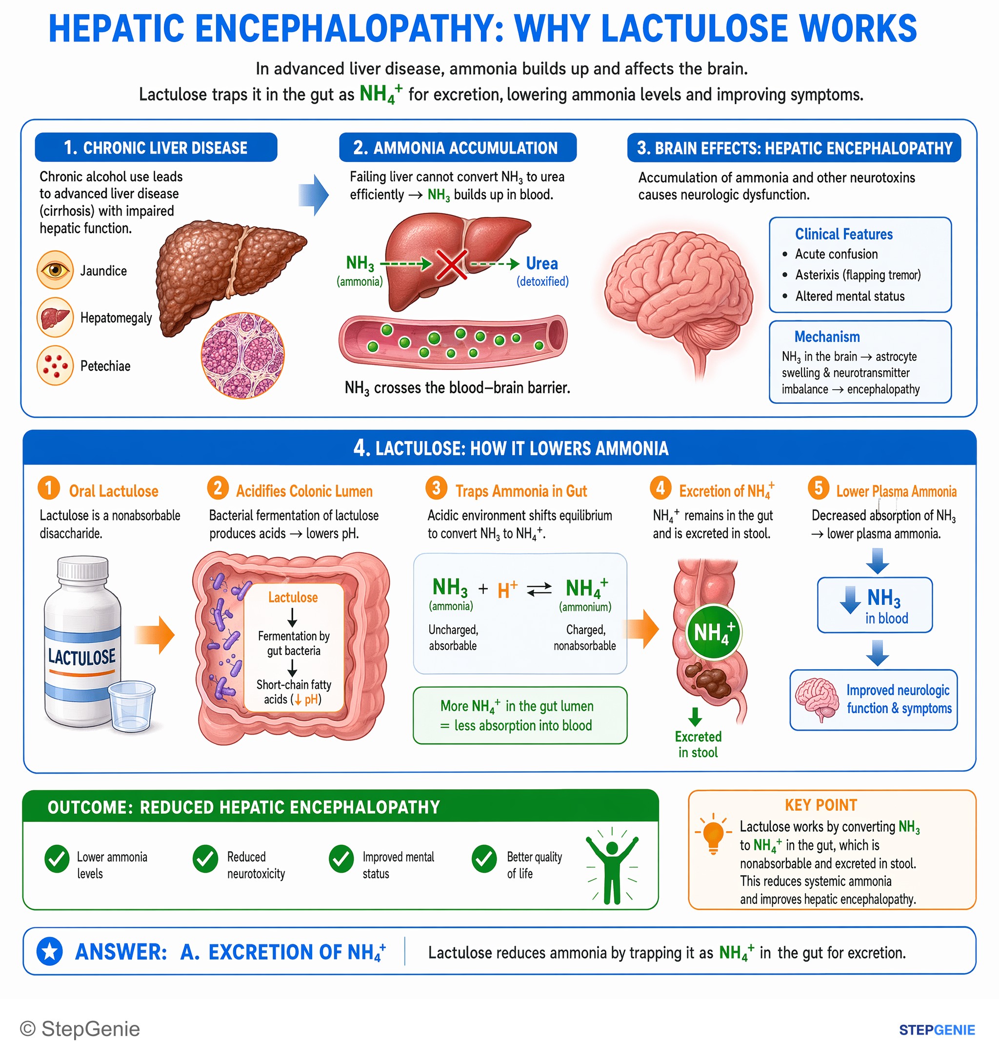 Hepatic disorders — StepGenie USMLE Step 1 explanation infographic