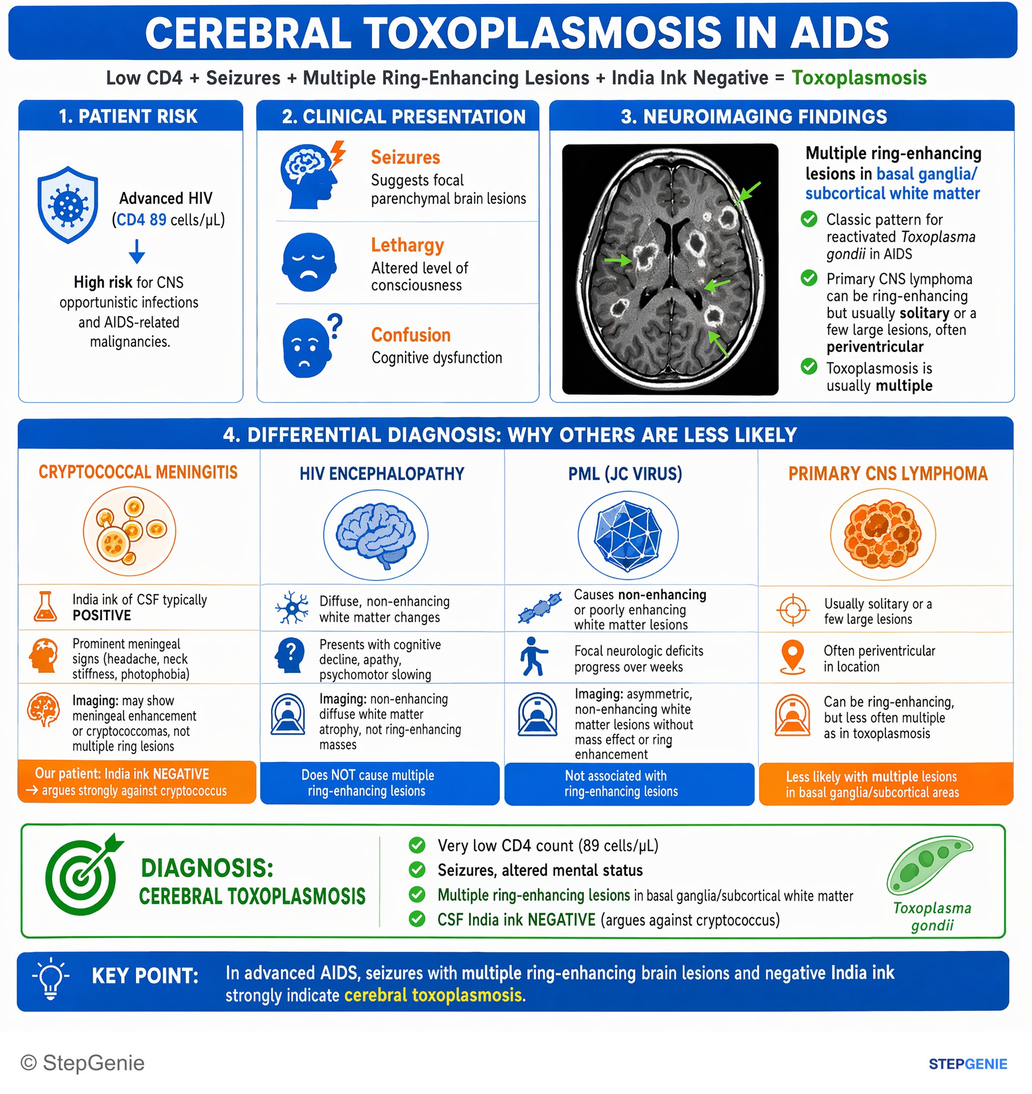 HIV and sexually transmitted infections — StepGenie USMLE Step 2 explanation infographic