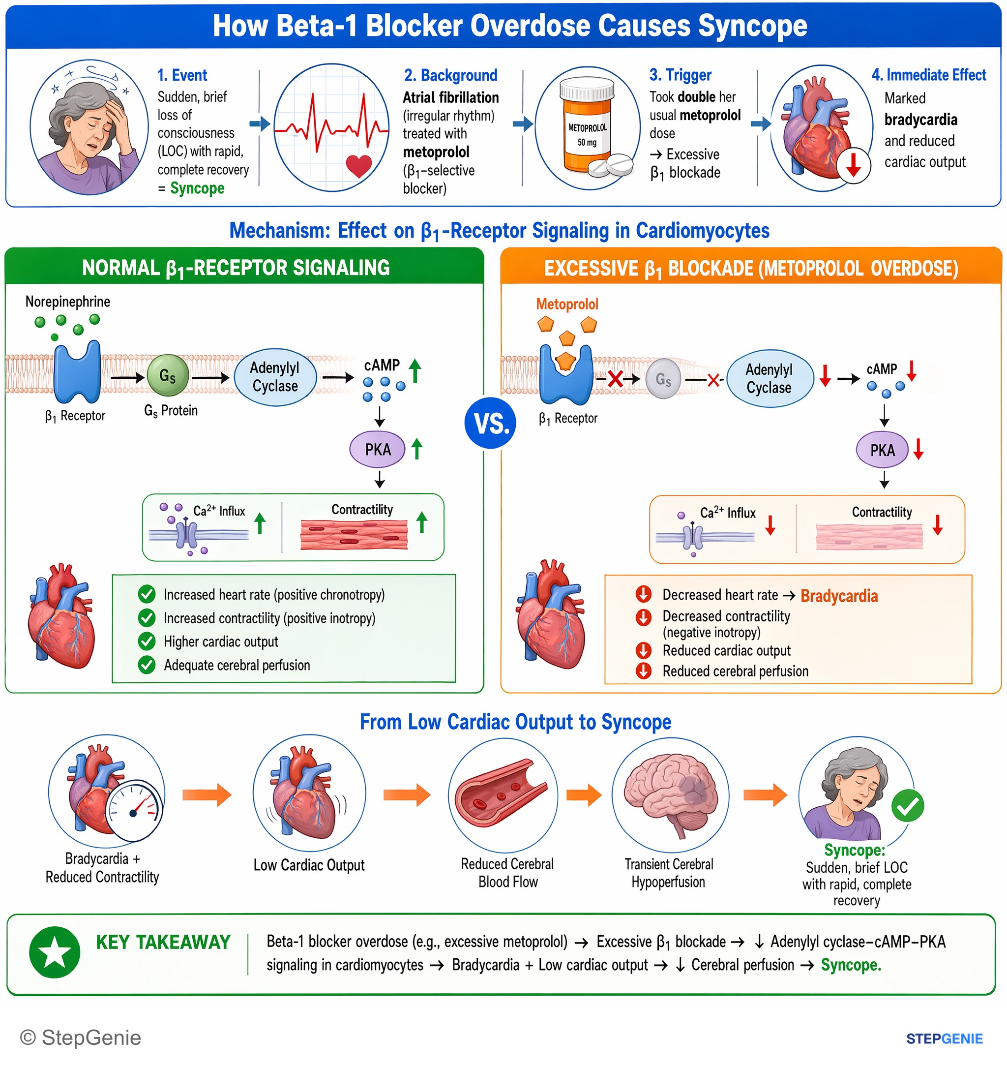 Drug effects / Toxic neuropathies — StepGenie USMLE Step 1 explanation infographic