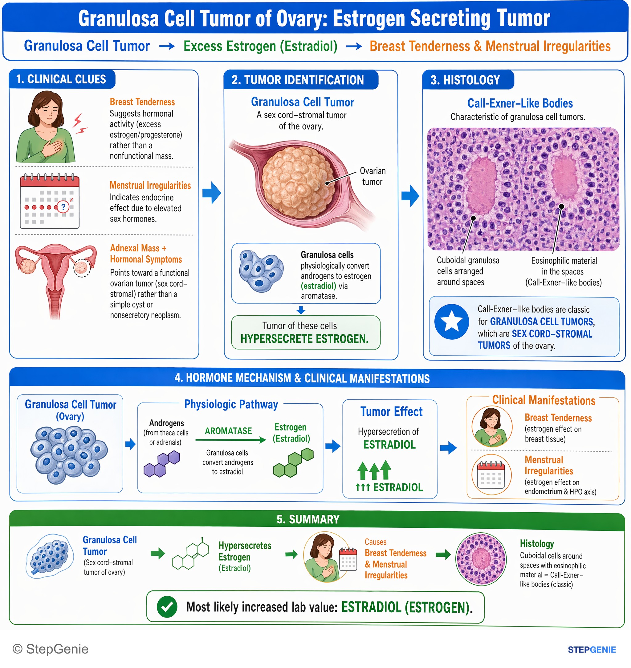 Ovarian disorders — StepGenie USMLE Step 1 explanation infographic