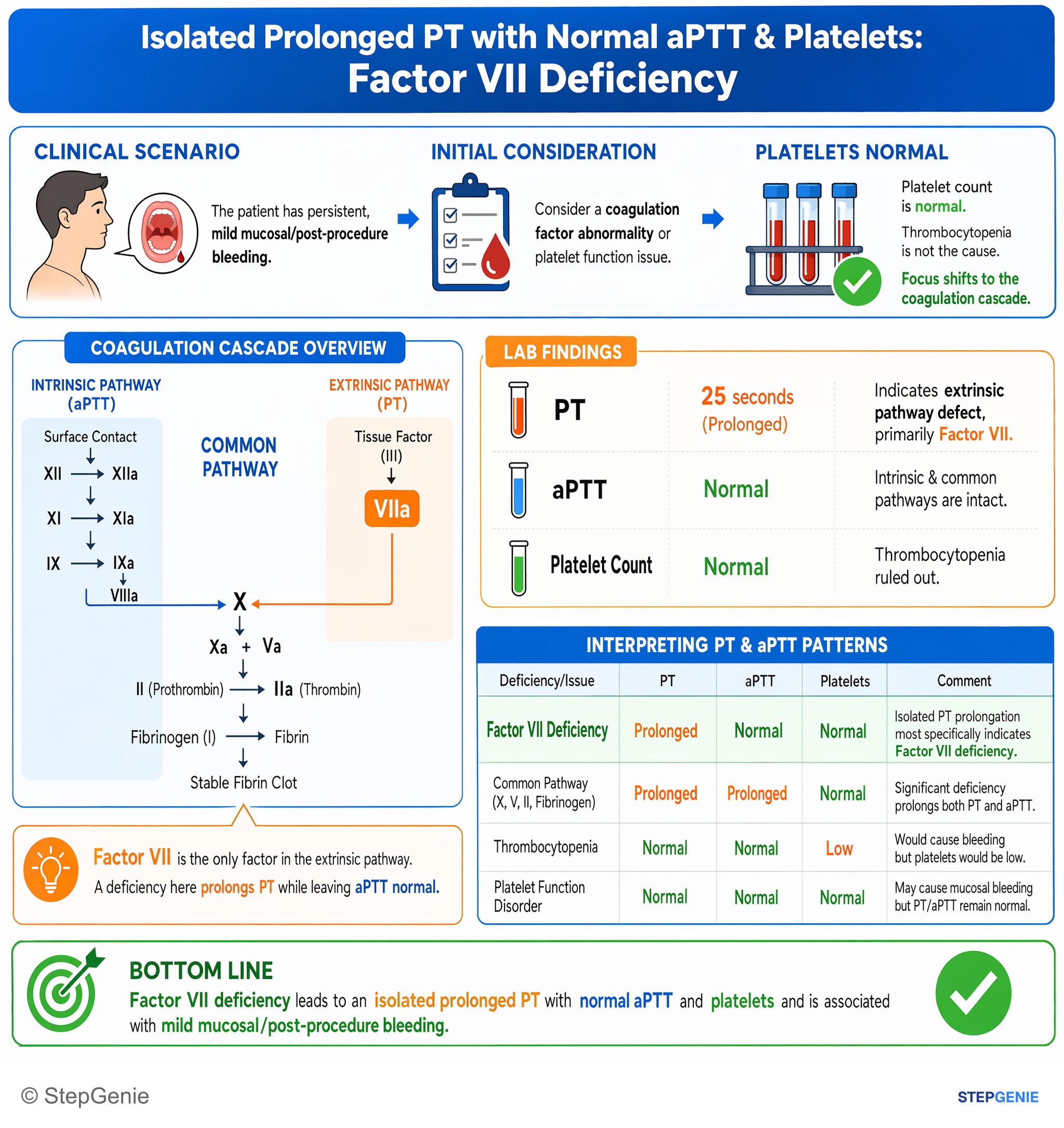 Hemostasis and thrombosis — StepGenie USMLE Step 1 explanation infographic