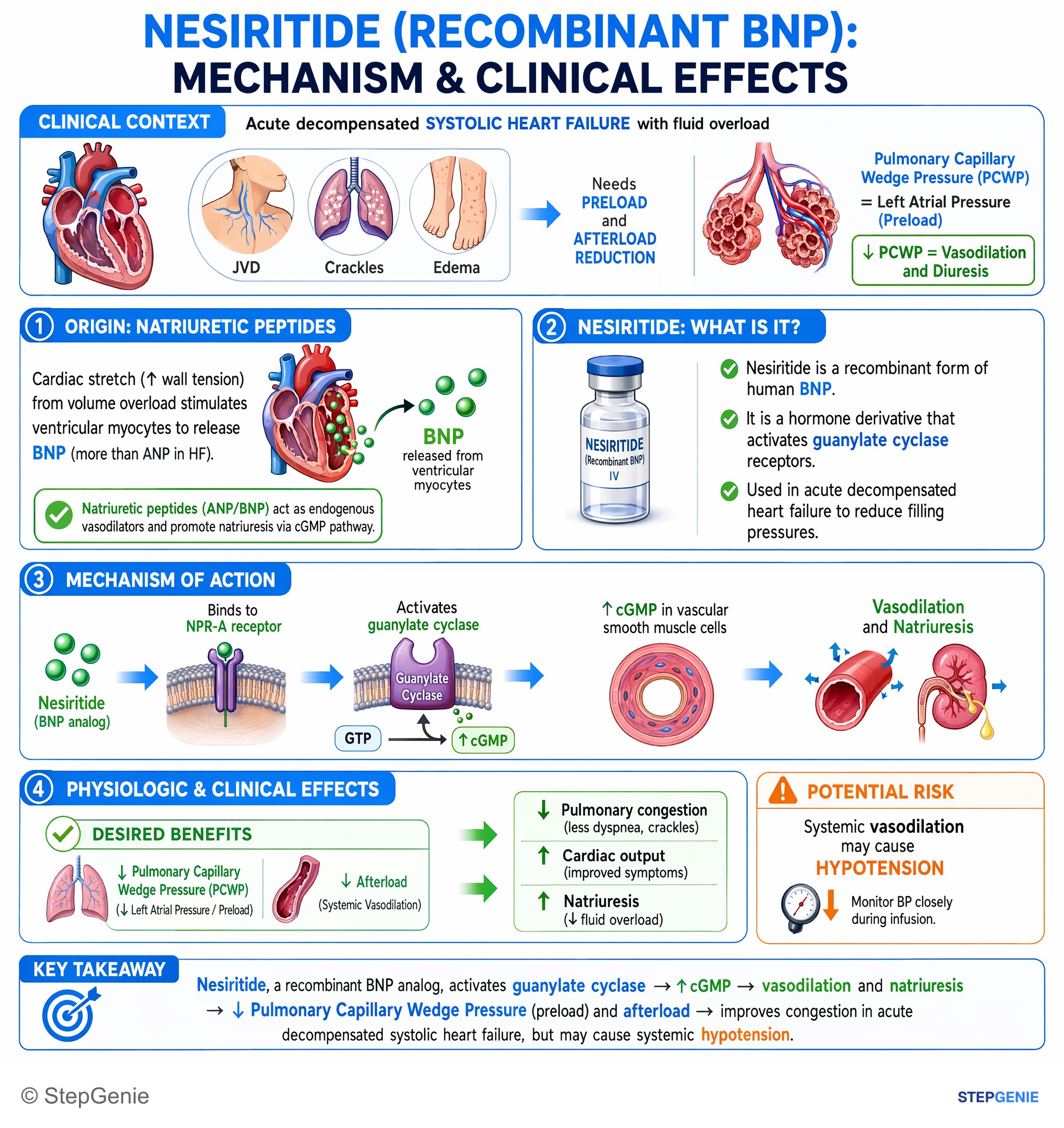 Cardiovascular drugs — StepGenie USMLE Step 1 explanation infographic