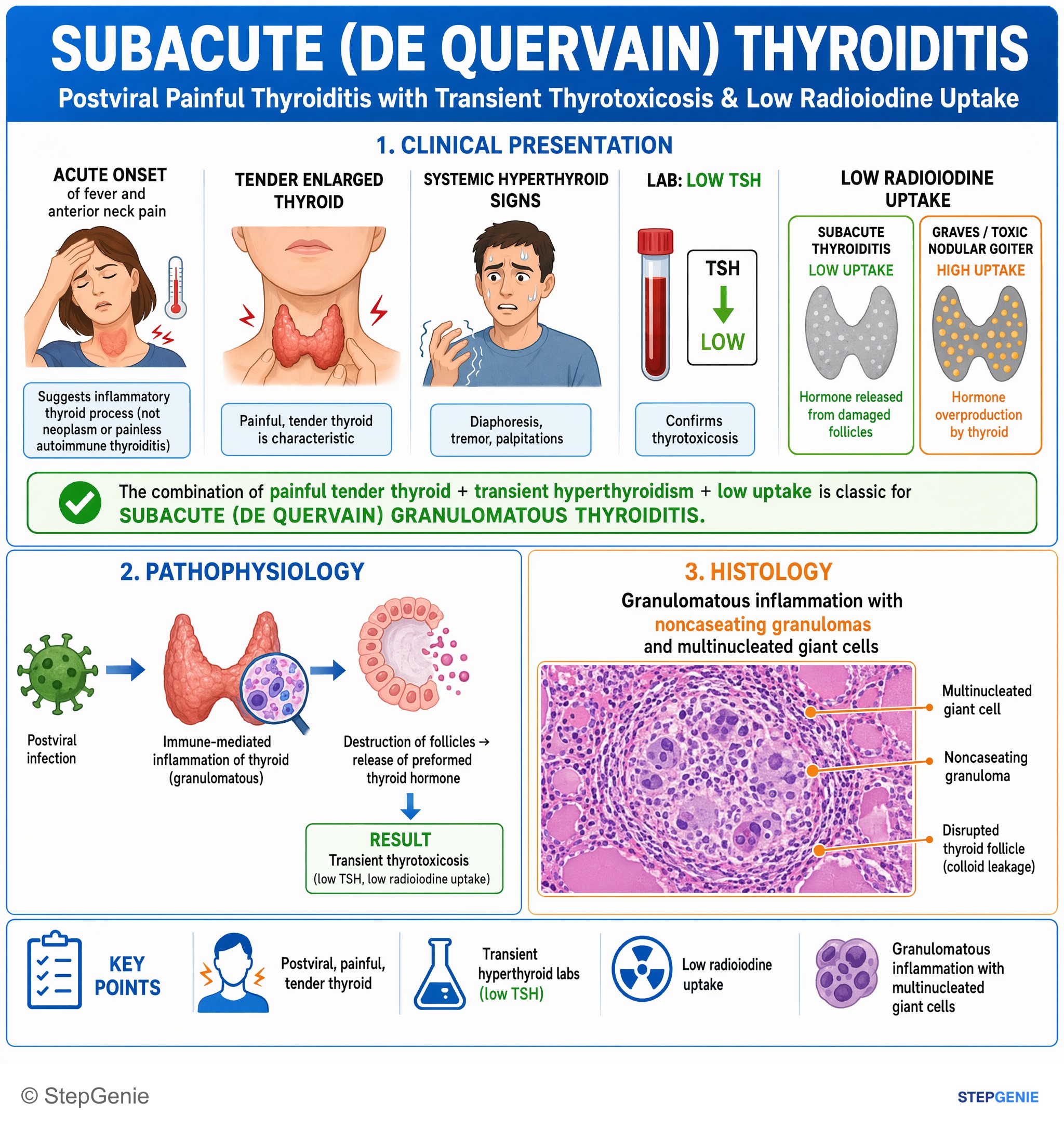 Thyroid disorders — StepGenie USMLE Step 1 explanation infographic