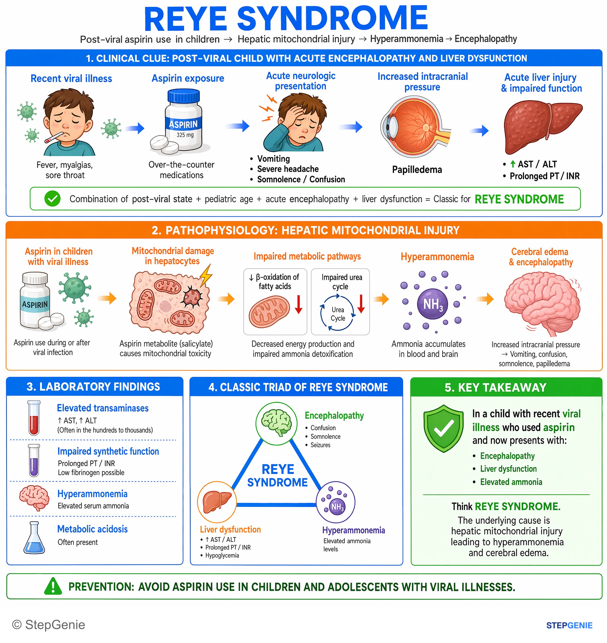 Miscellaneous — StepGenie USMLE Step 1 explanation infographic