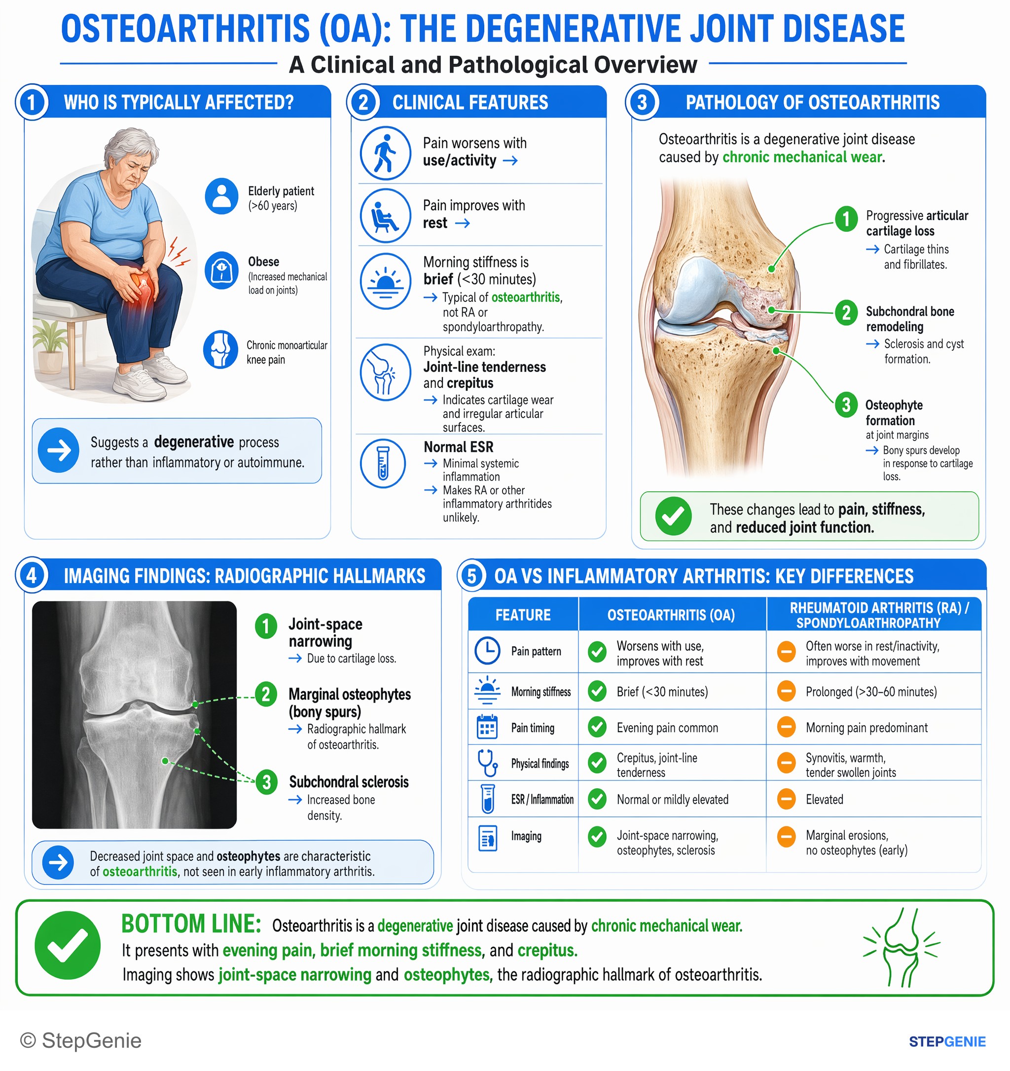 Arthritis and spondyloarthropathies — StepGenie USMLE Step 1 explanation infographic