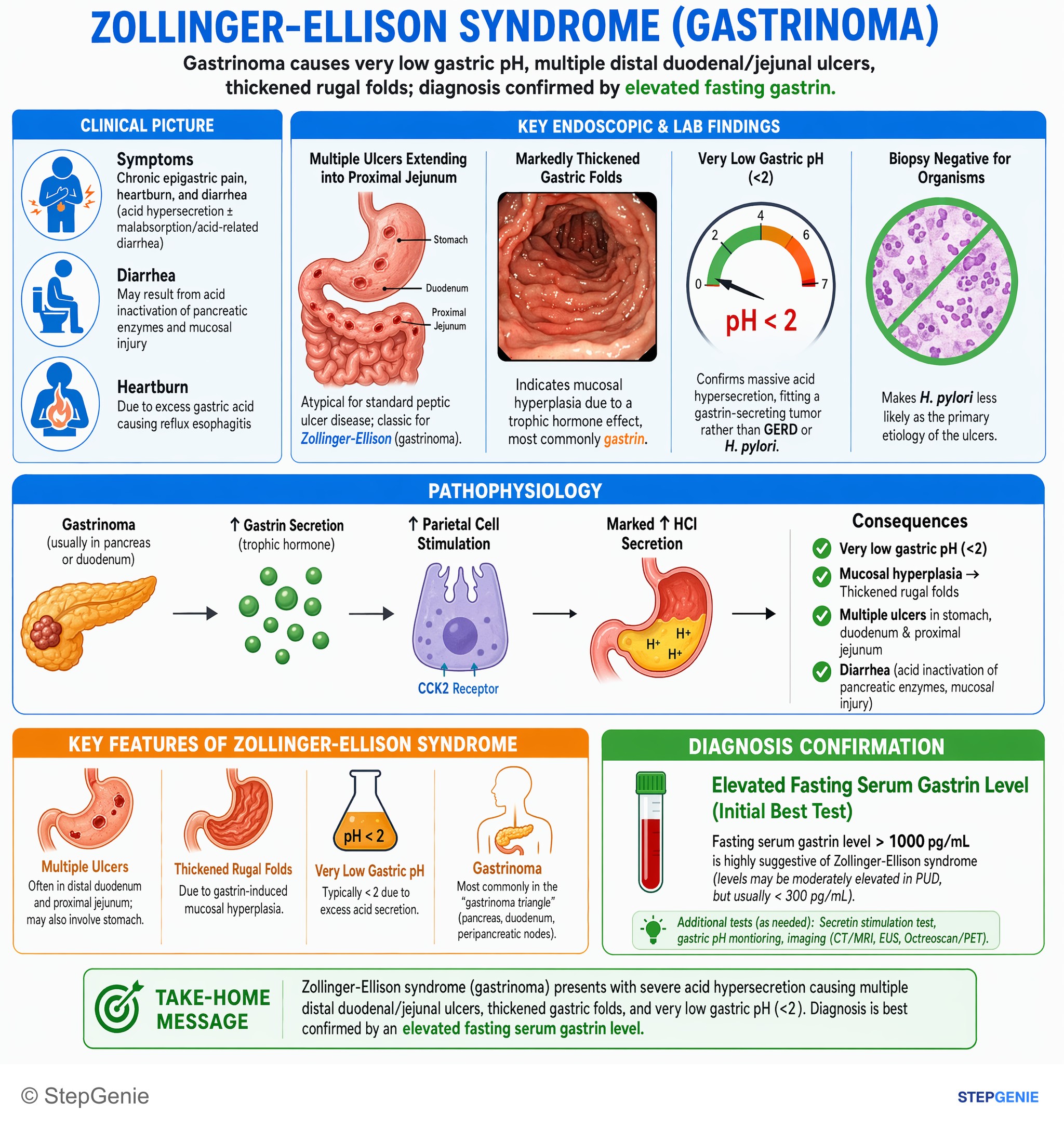 Pancreatic disorders — StepGenie USMLE Step 2 explanation infographic