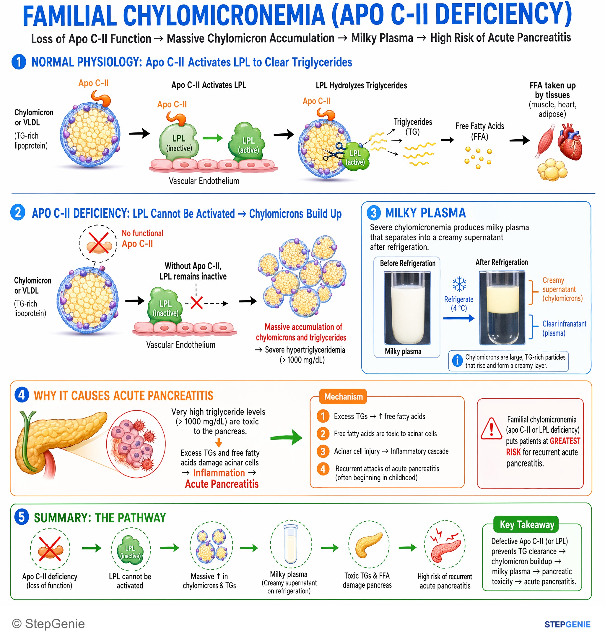 Dyslipidemias — StepGenie USMLE Step 1 explanation infographic