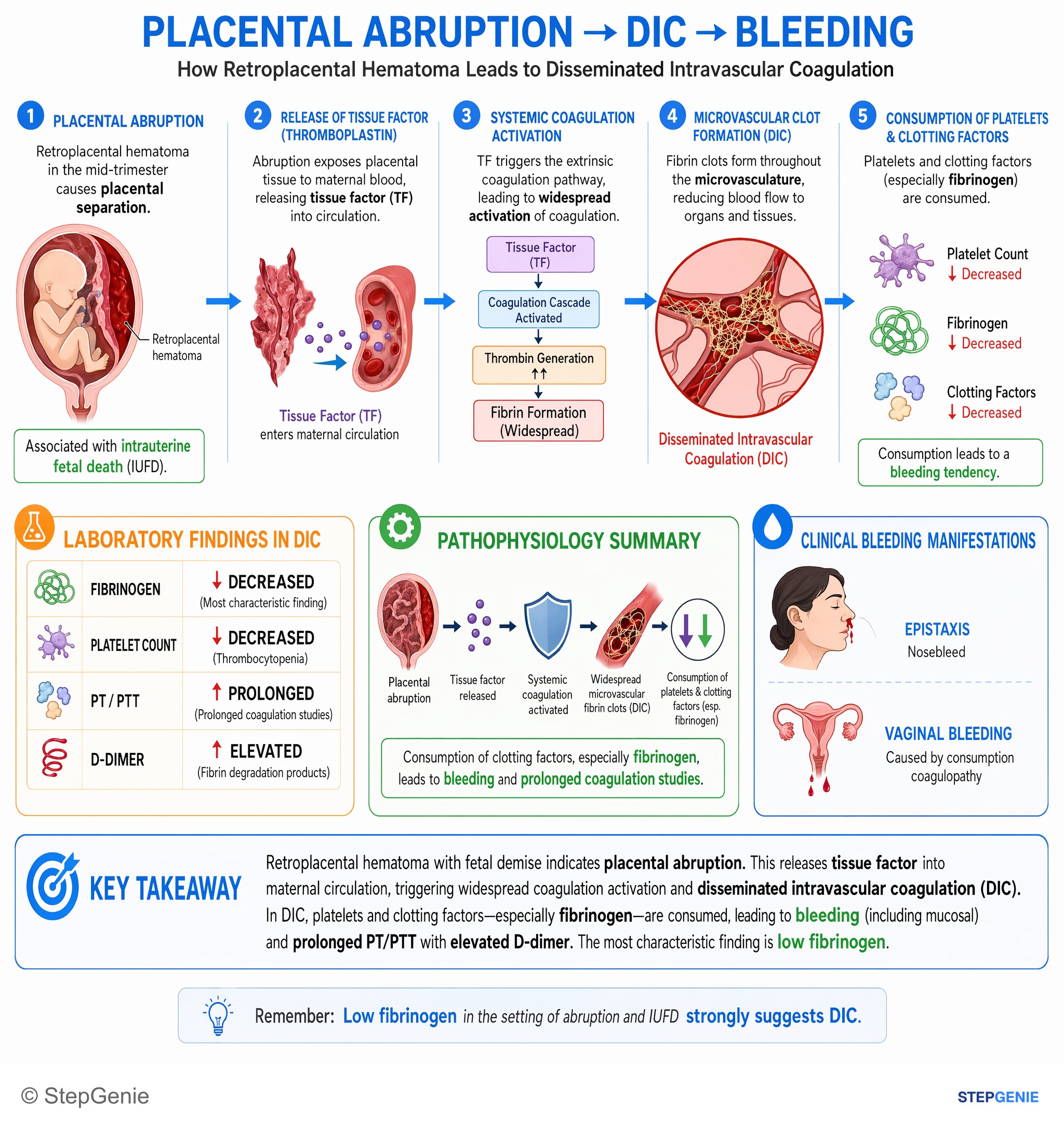 Disorders of pregnancy, childbirth, and puerperium — StepGenie USMLE Step 2 explanation infographic