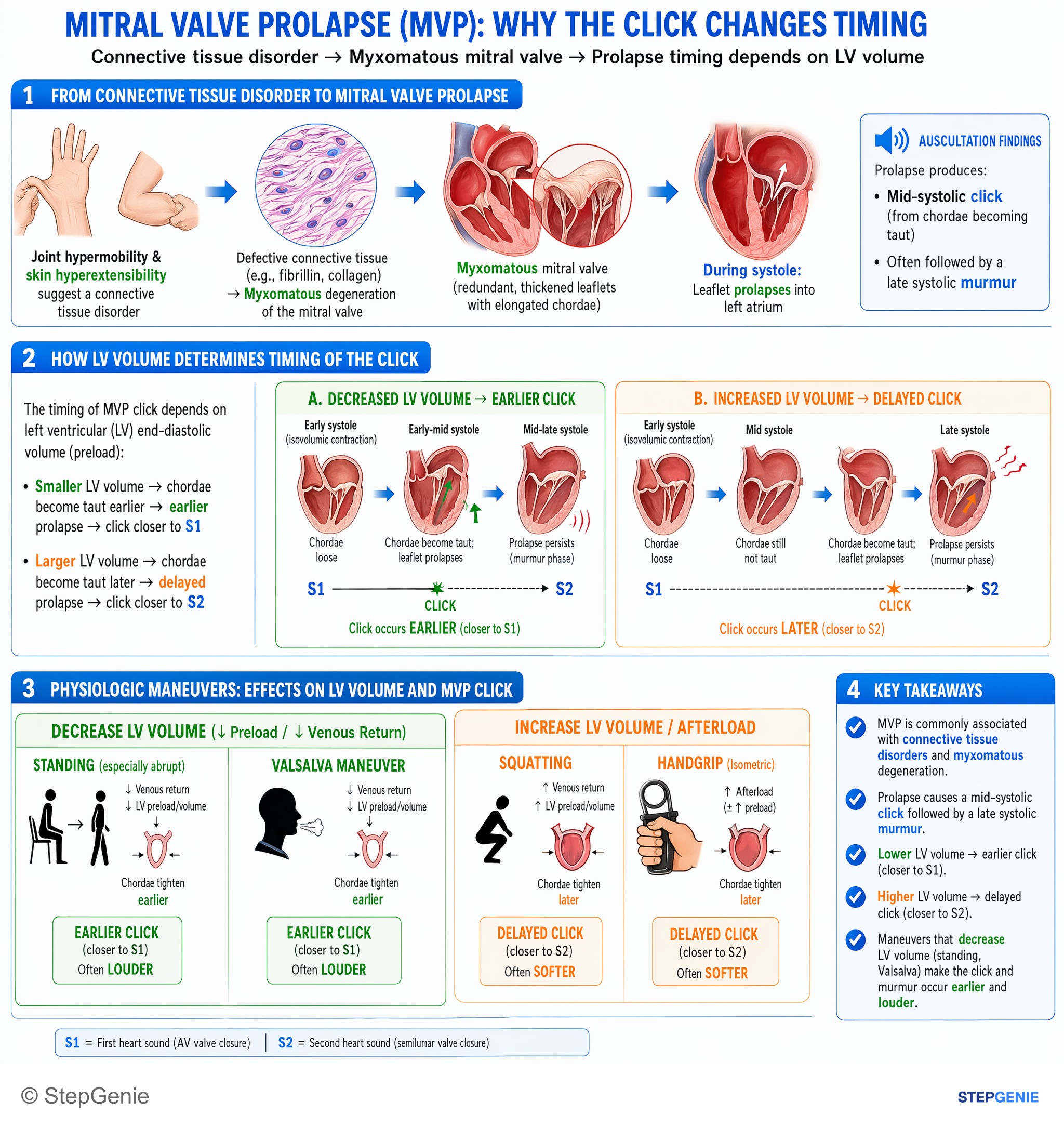 Valvular heart diseases — StepGenie USMLE Step 1 explanation infographic