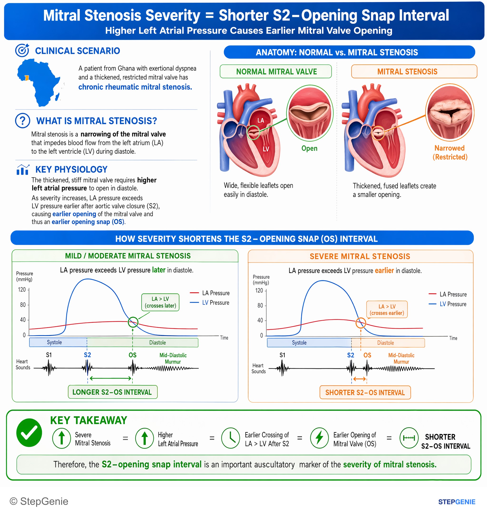 Valvular heart diseases — StepGenie USMLE Step 1 explanation infographic