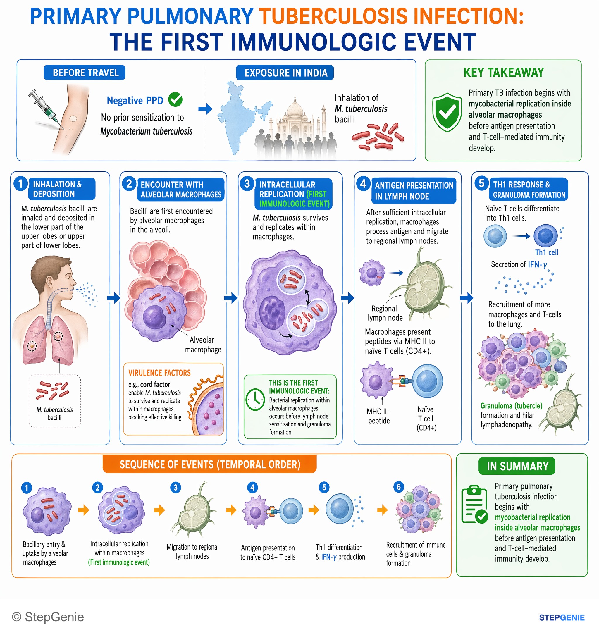 Bacterial infections — StepGenie USMLE Step 1 explanation infographic