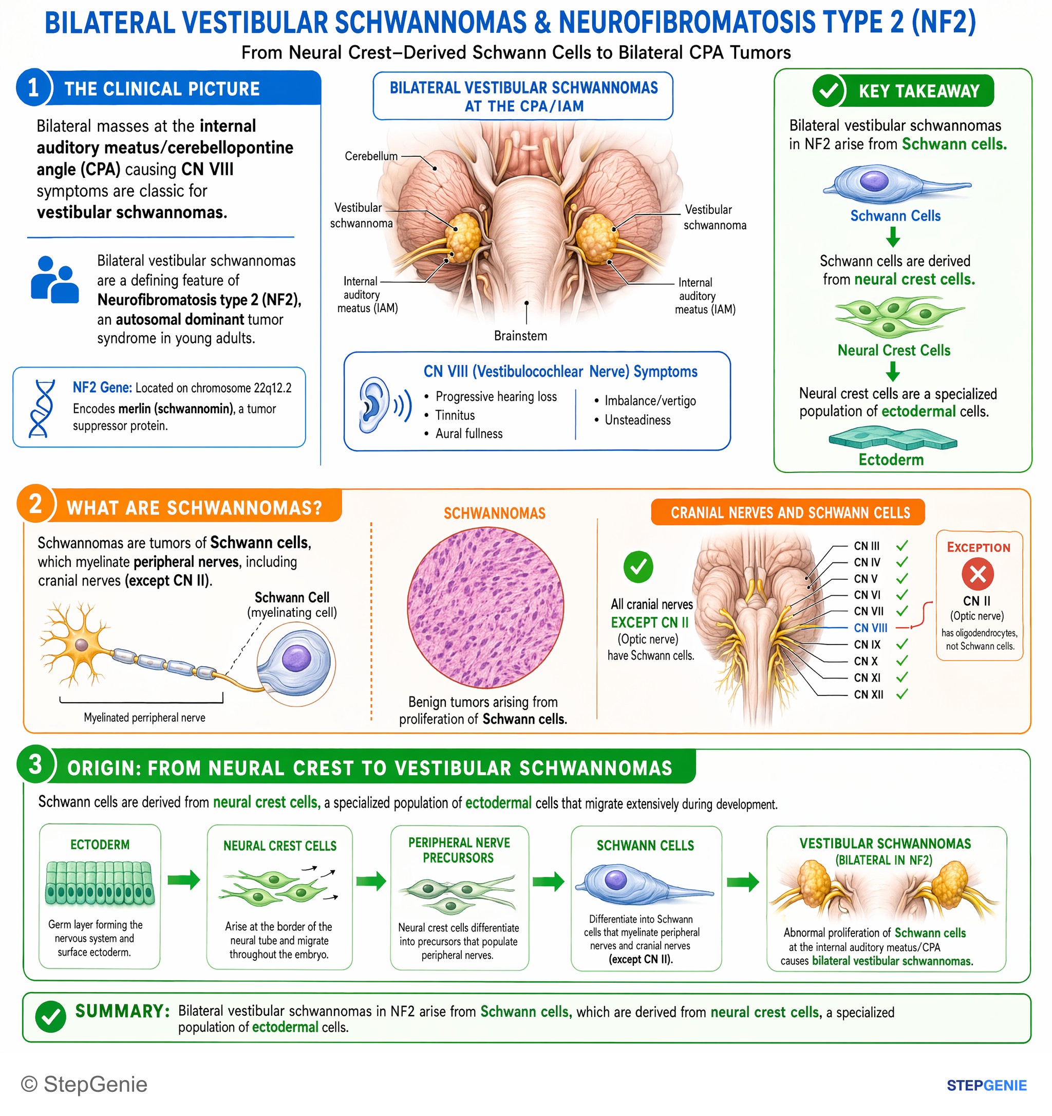 Tumors/Malignancy of the nervous system — StepGenie USMLE Step 1 explanation infographic