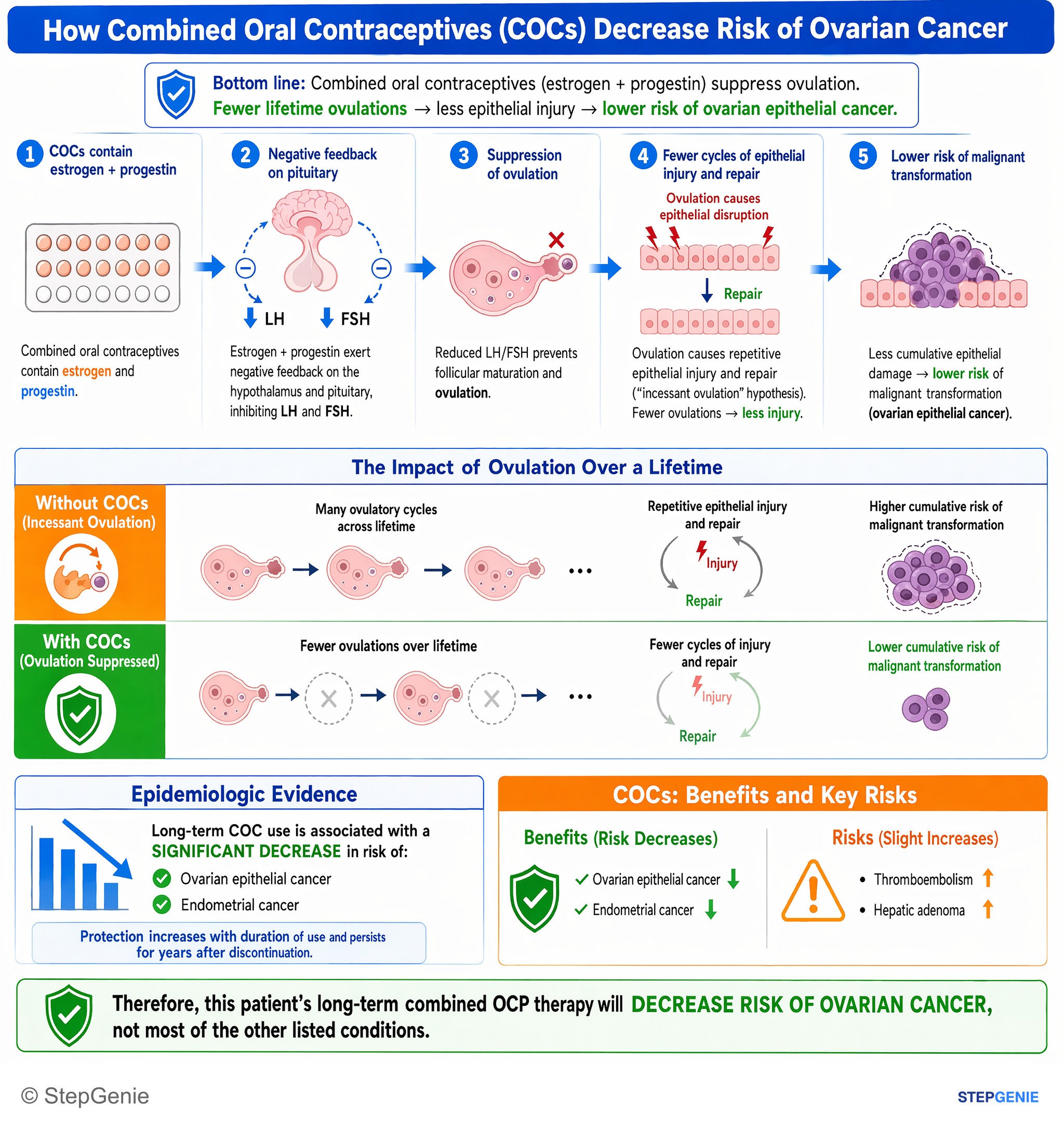 Reproductive endocrinology — StepGenie USMLE Step 2 explanation infographic
