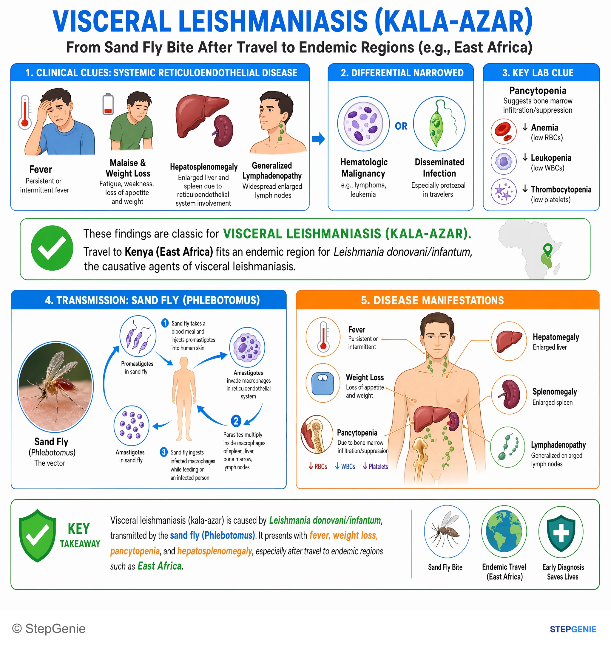 Parasitic and helminthic infections — StepGenie USMLE Step 1 explanation infographic