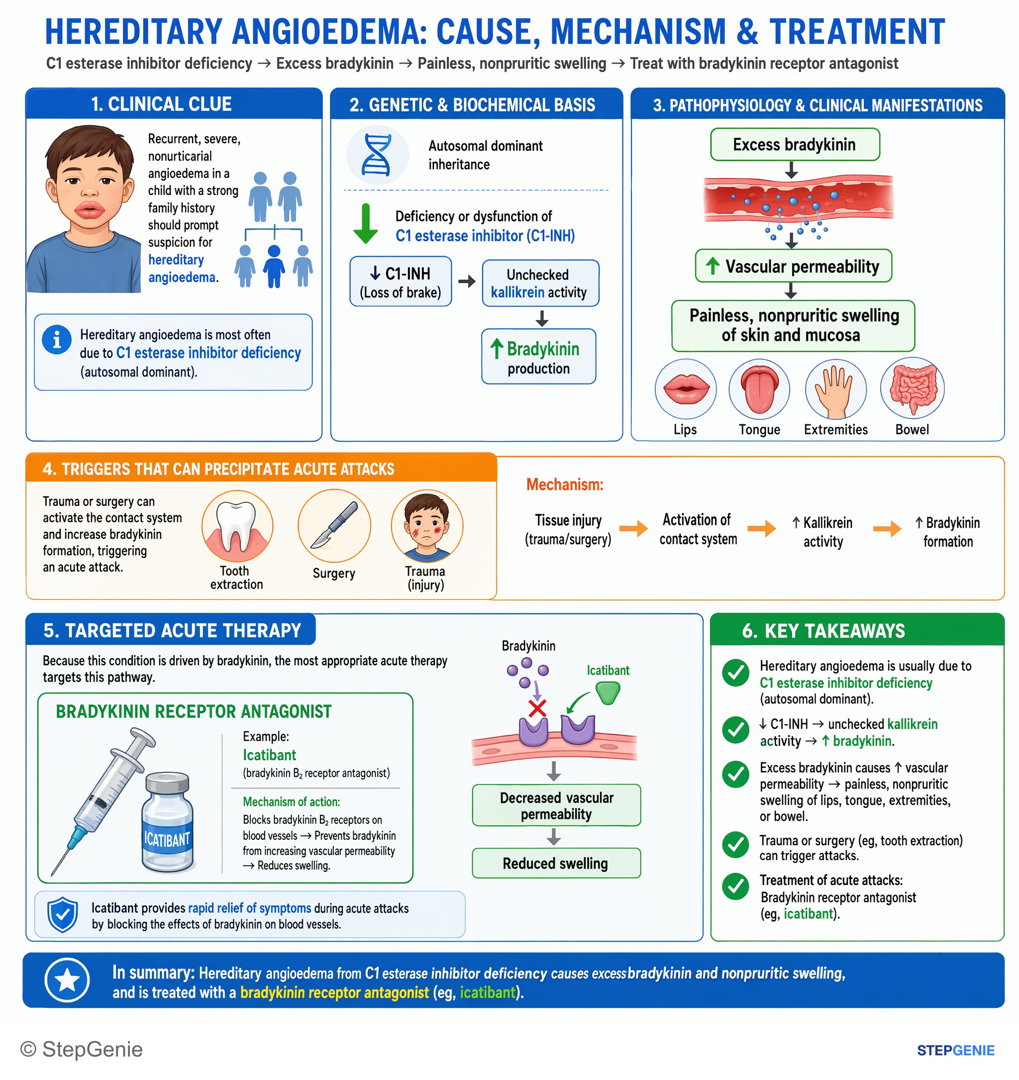 Hypersensitivity responses — StepGenie USMLE Step 1 explanation infographic