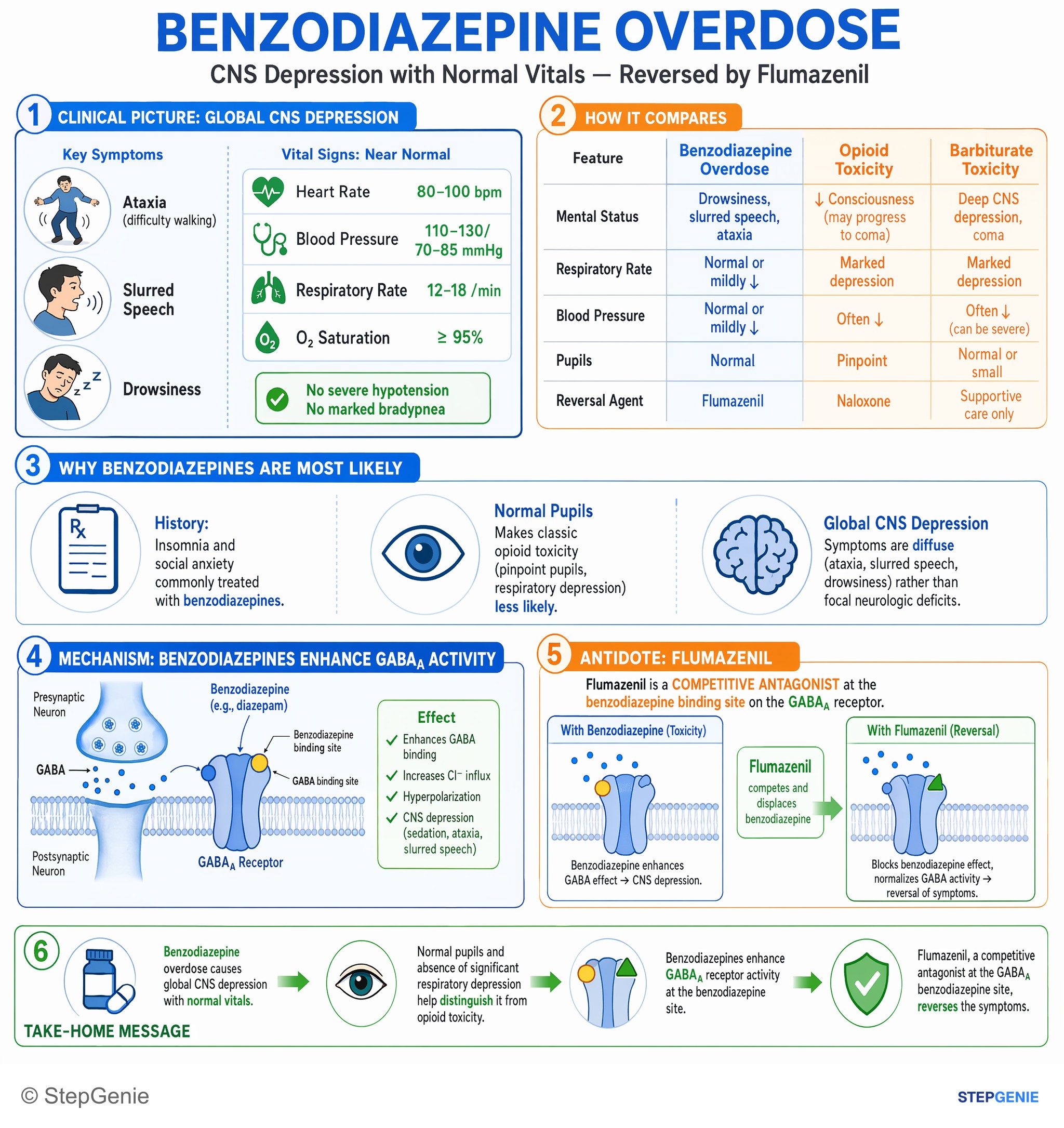 Drug effects / Toxic neuropathies — StepGenie USMLE Step 1 explanation infographic