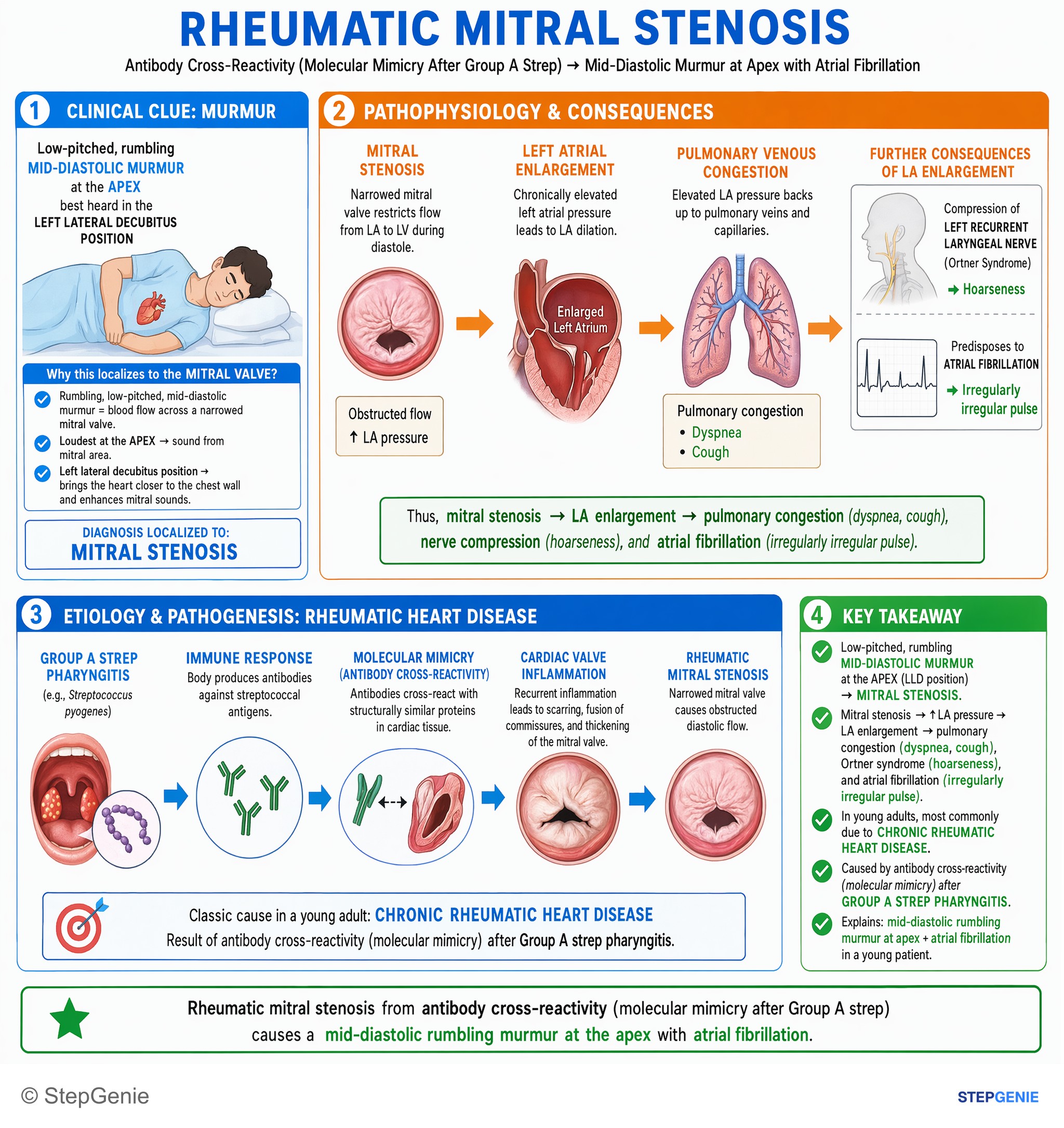 Valvular heart diseases — StepGenie USMLE Step 1 explanation infographic