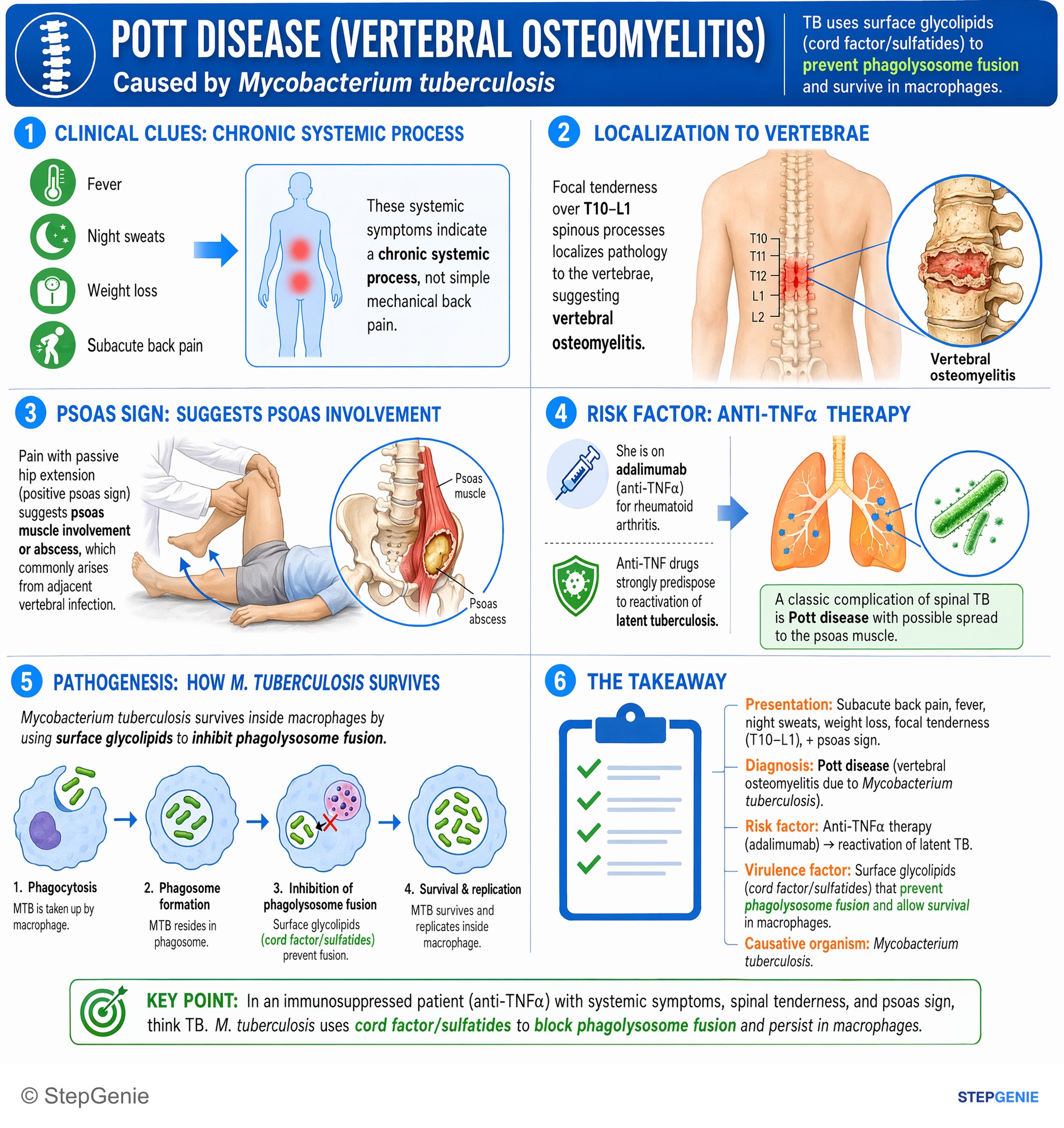 Bone/joint injuries and infections — StepGenie USMLE Step 1 explanation infographic