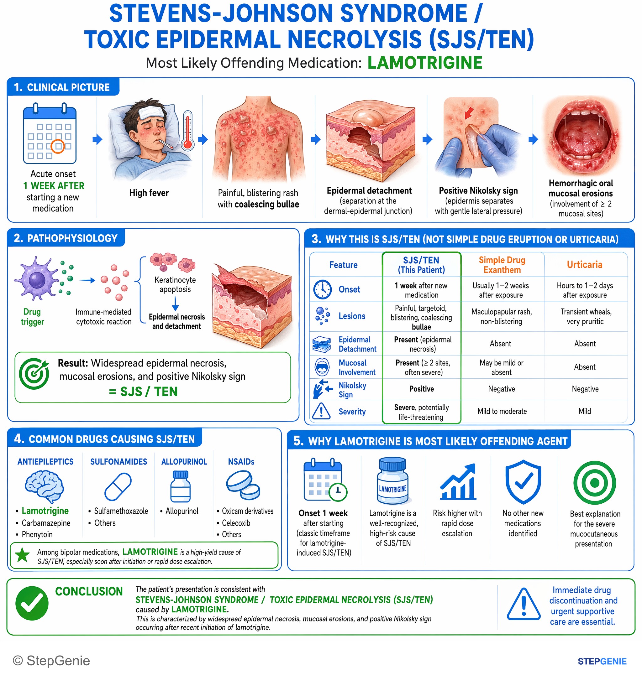 Drug reactions — StepGenie USMLE Step 1 explanation infographic