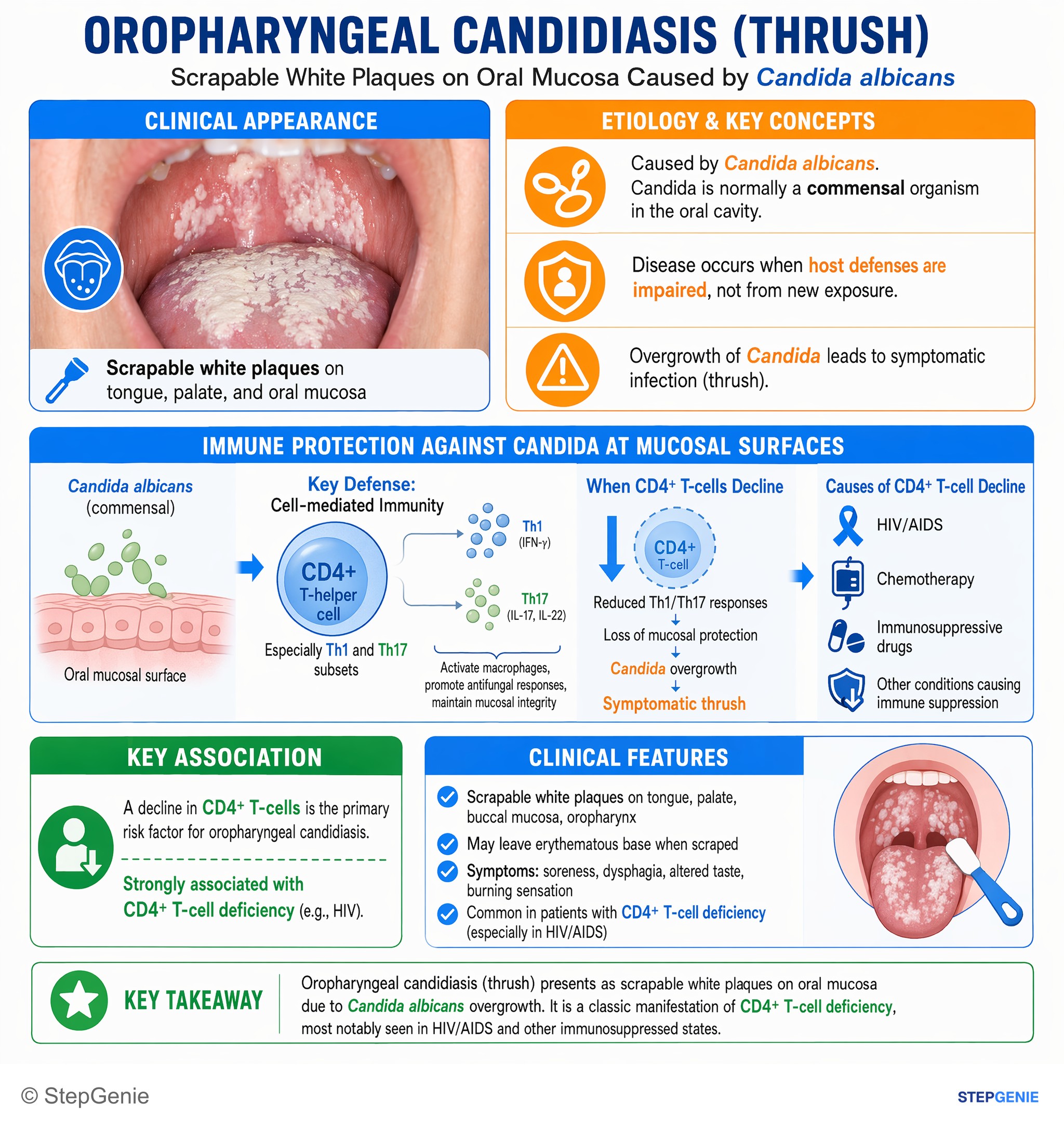 Fungal infections — StepGenie USMLE Step 1 explanation infographic