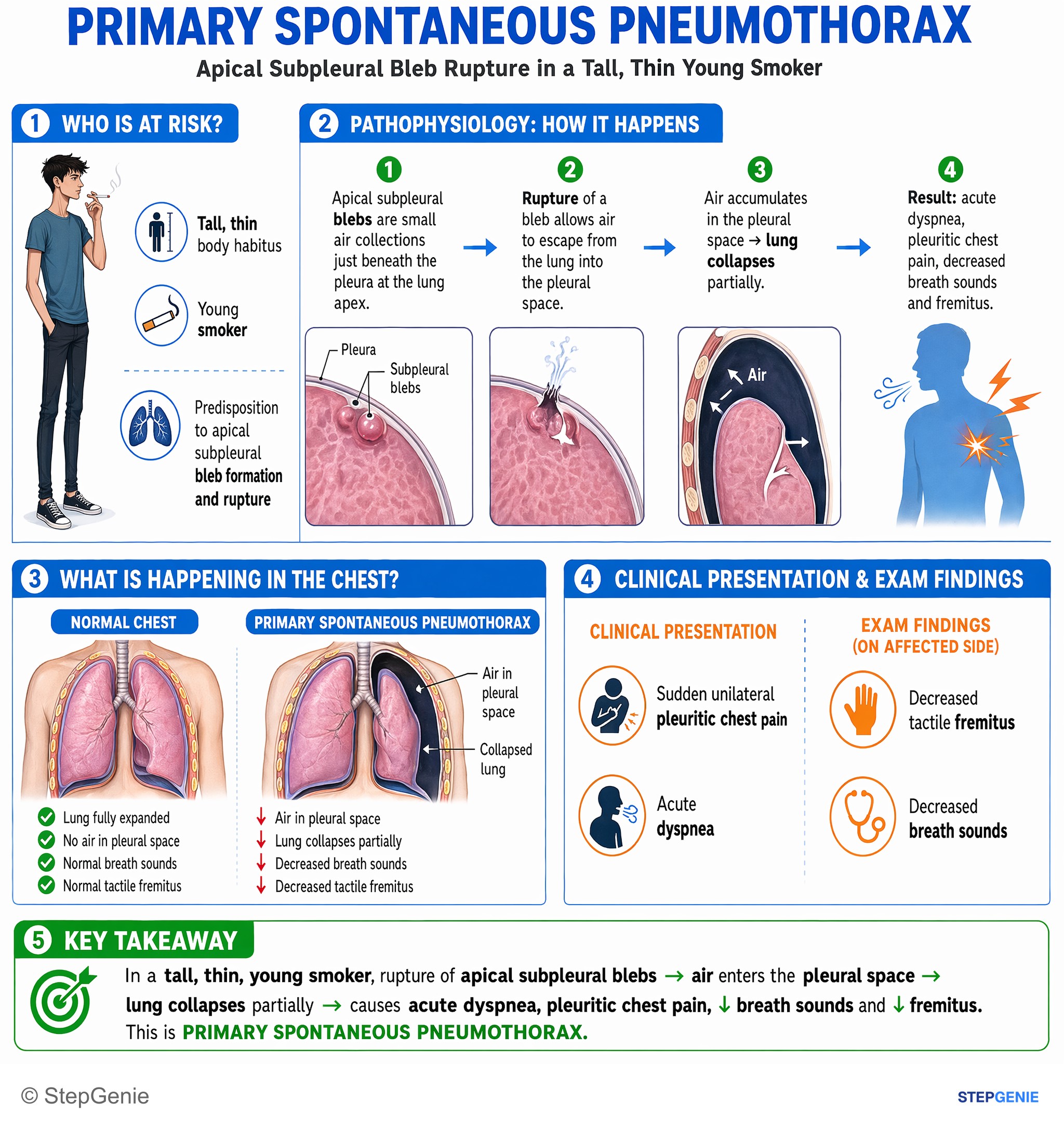 Miscellaneous — StepGenie USMLE Step 1 explanation infographic