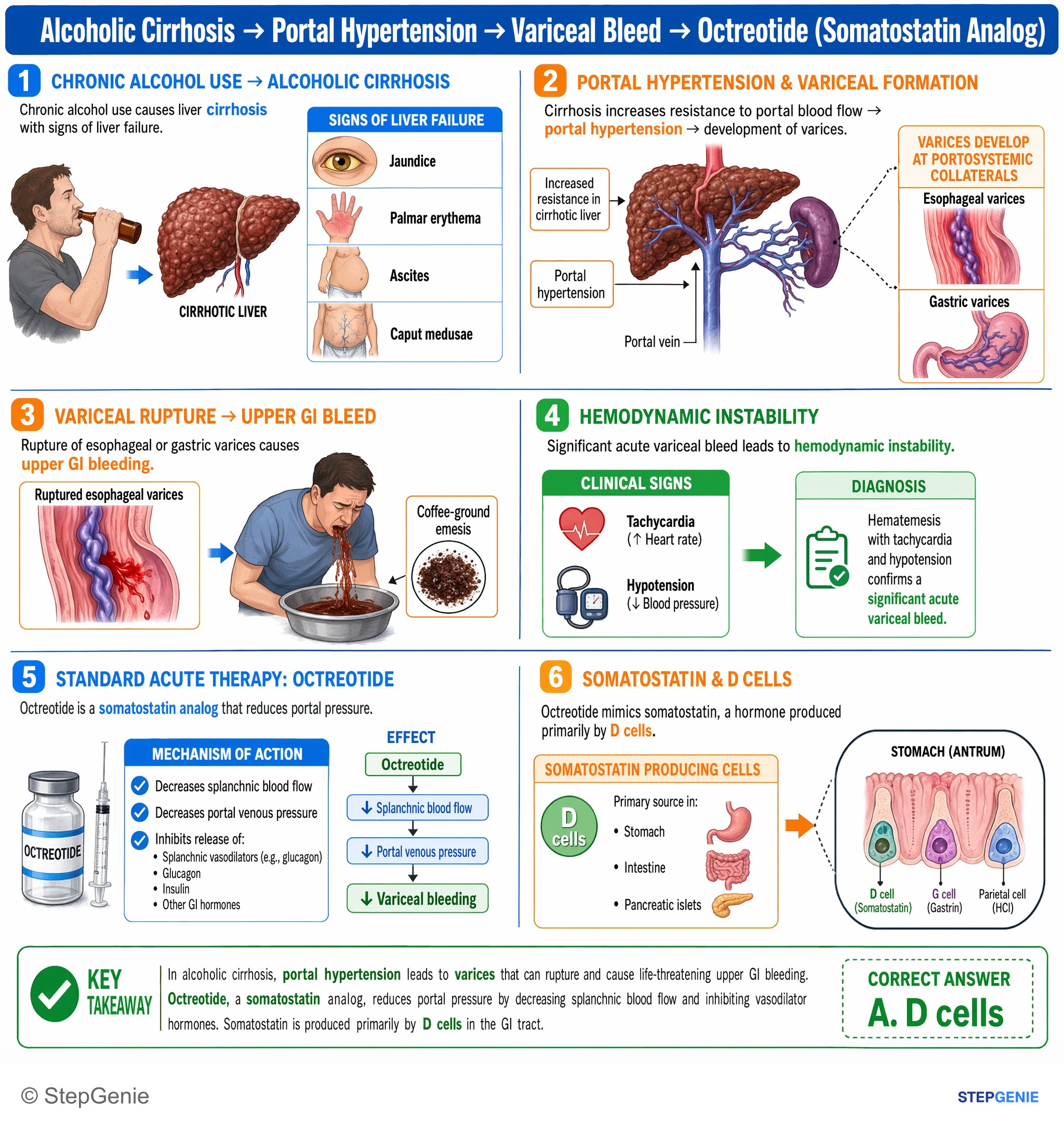 Hepatic disorders — StepGenie USMLE Step 1 explanation infographic